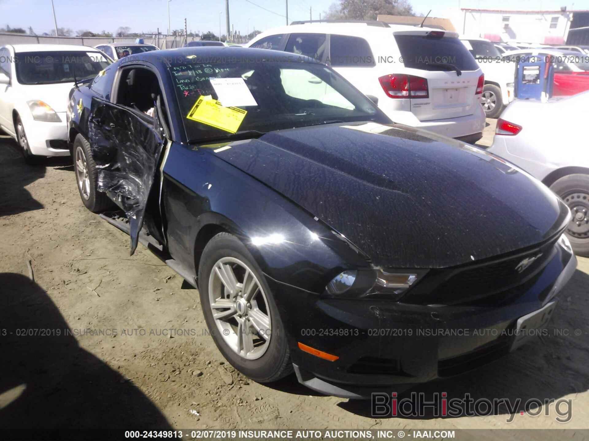 Photo 1ZVBP8AM9C5209360 - FORD MUSTANG 2012