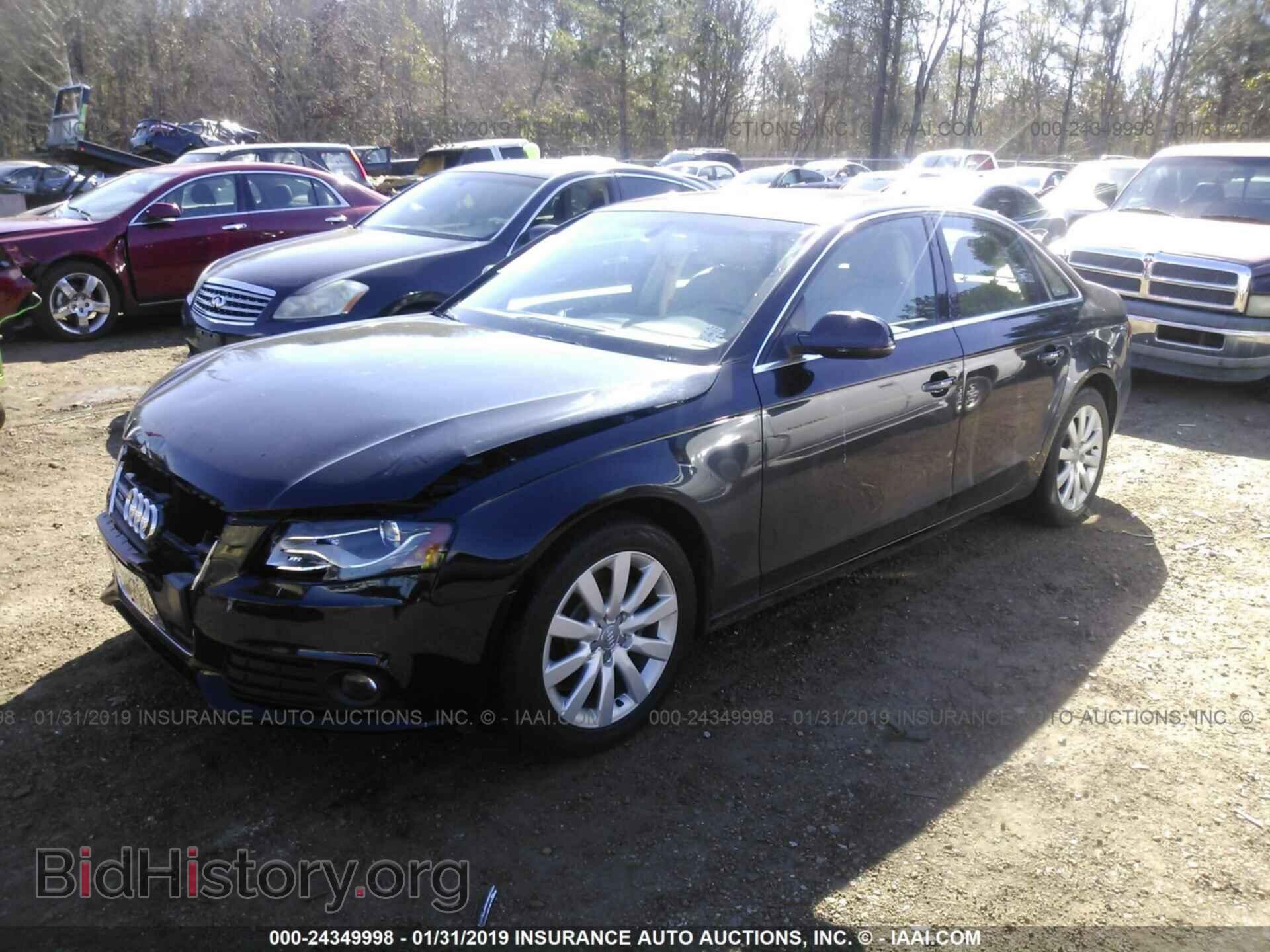 2011 AUDI A4 - VIN: WAUFFAFL1BN024116 - Фото 2