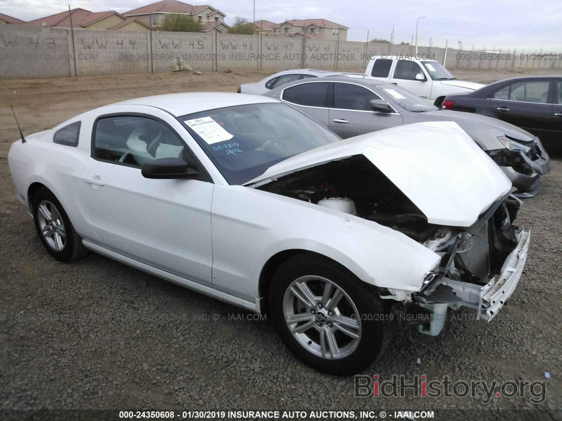 Photo 1ZVBP8AM8E5299698 - FORD MUSTANG 2014