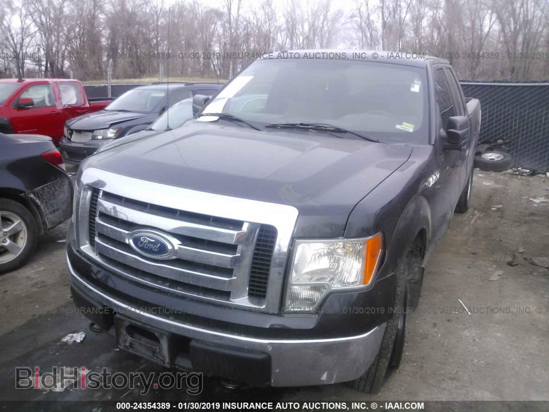 2012 Ford F150 - VIN: 1FTFX1EF8CFA31135 - Фото 2
