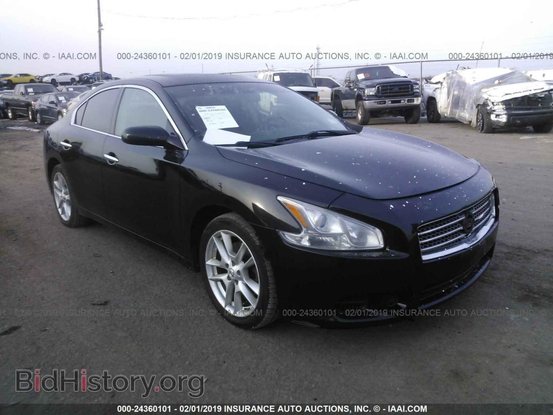 Photo 1N4AA5AP7BC818892 - NISSAN MAXIMA 2011