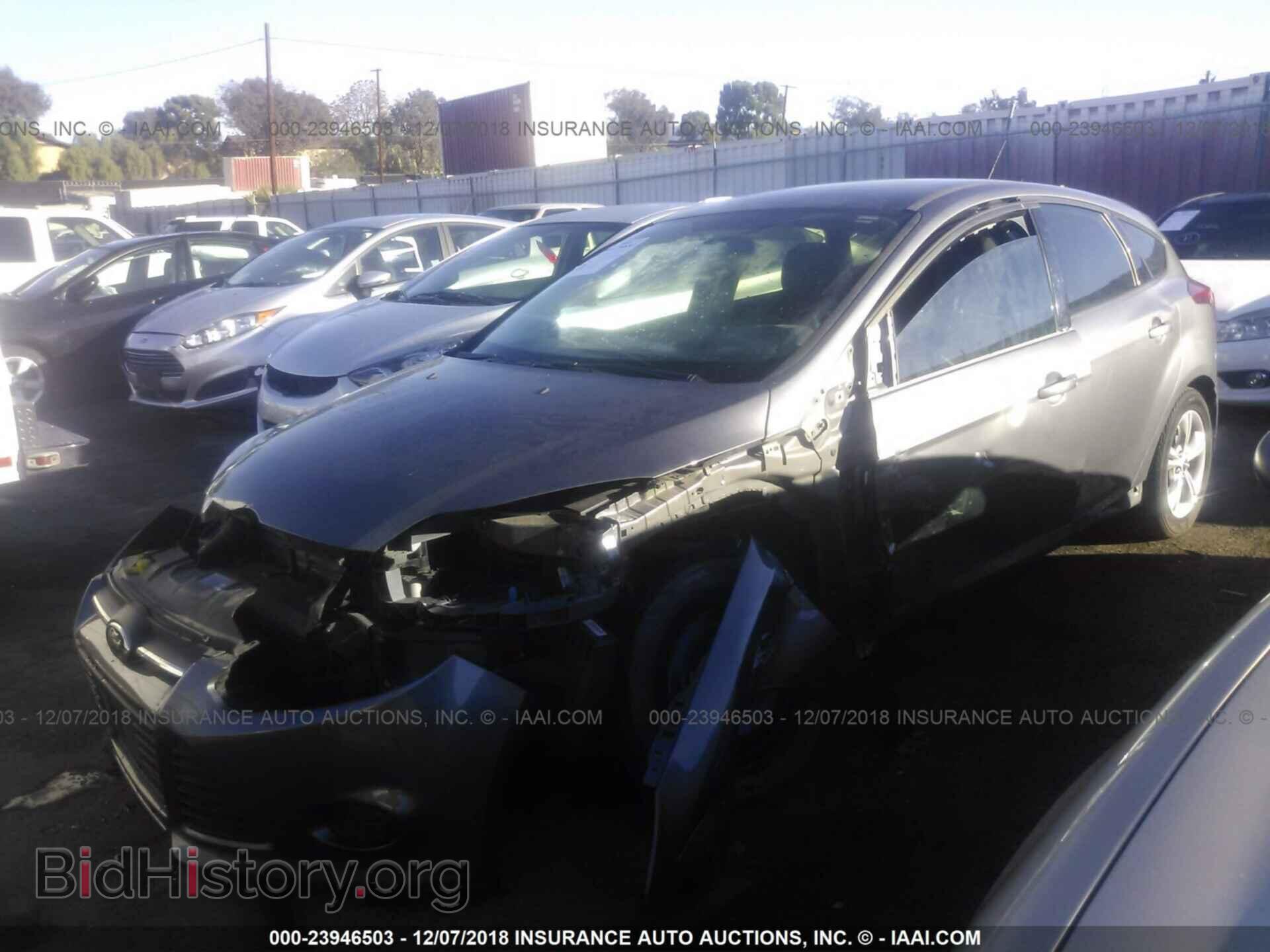2013 FORD FOCUS - VIN: 1FADP3K20DL271390 - Фото 2