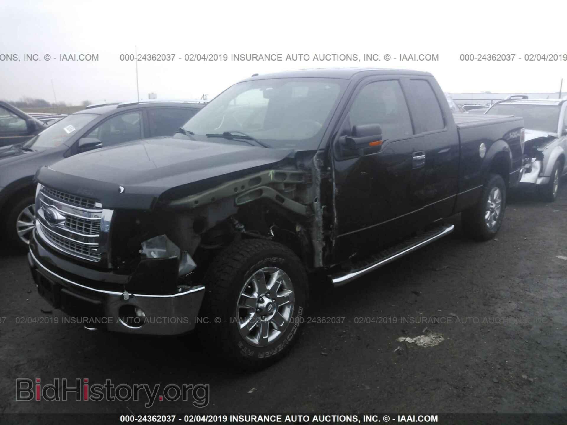 2013 FORD F150 - VIN: 1FTFX1EF6DFA02668 - Фото 2