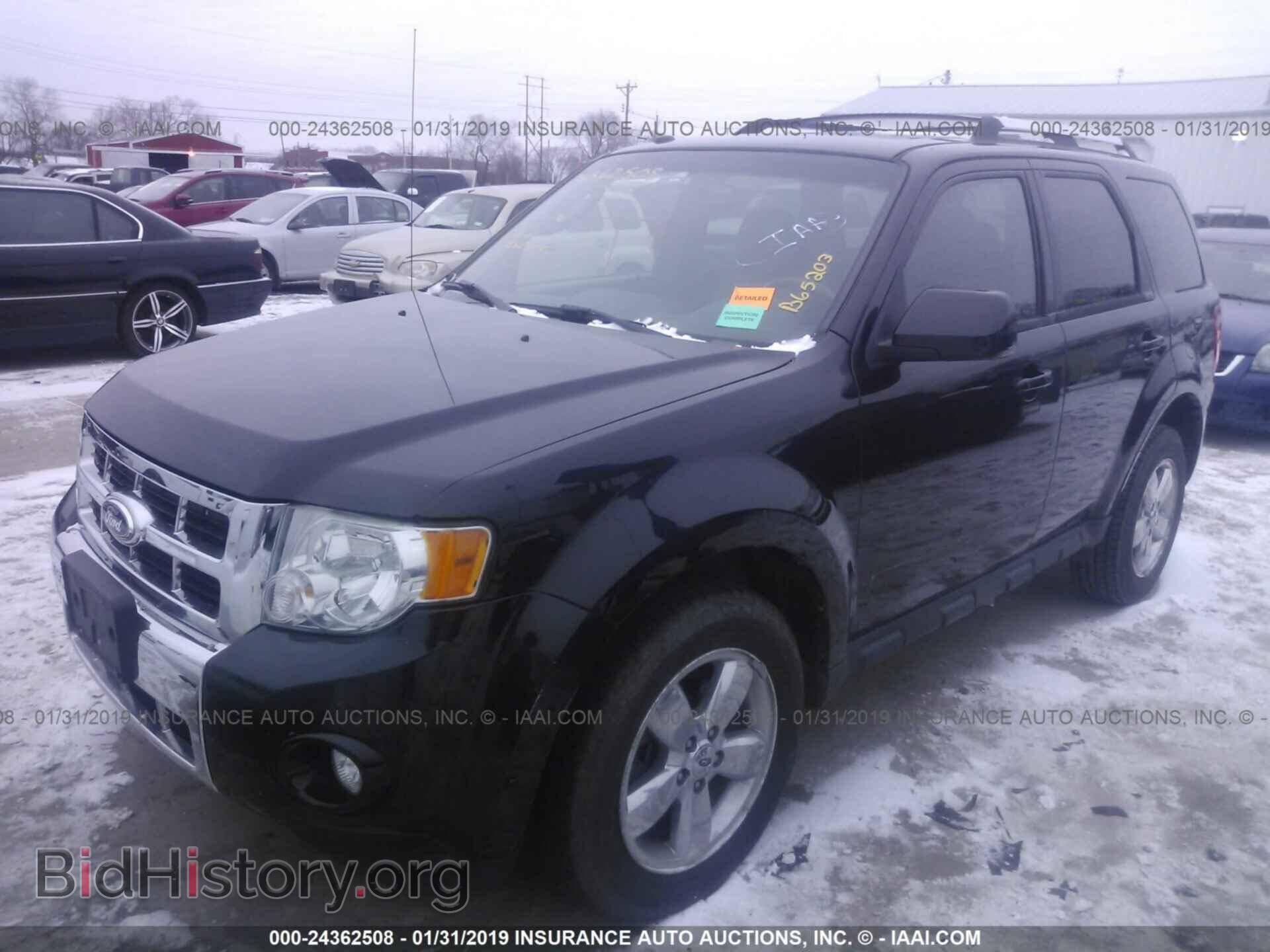 2011 FORD ESCAPE - VIN: 1FMCU9EG5BKB65203 - Photo 2