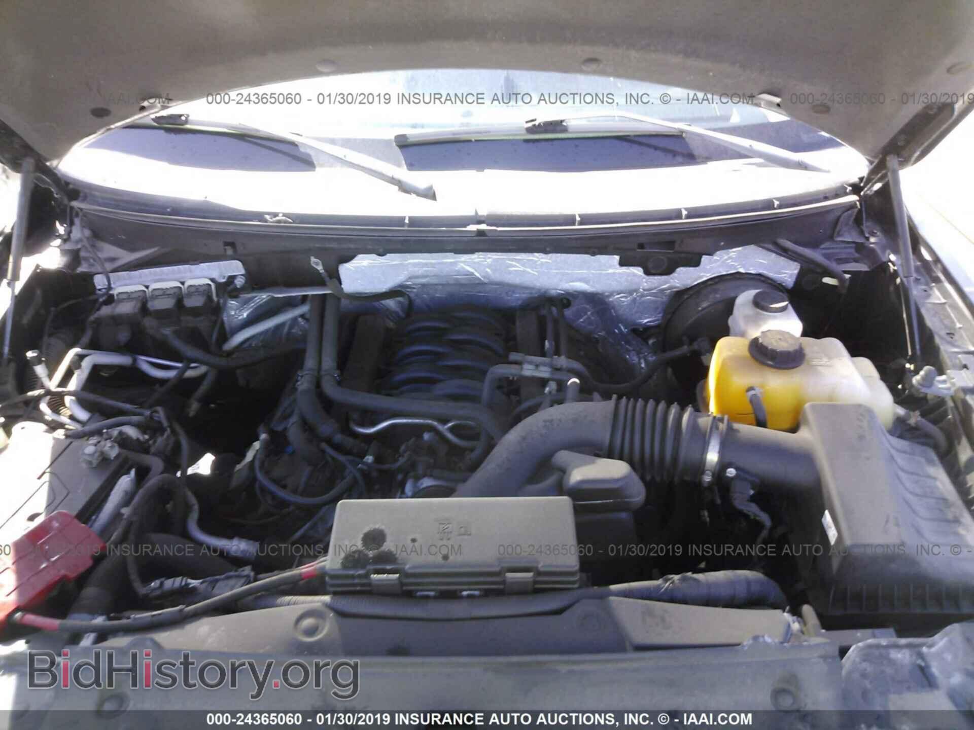 2013 FORD F150 - VIN: 1FTFW1CF9DKF32663 - Фото 10