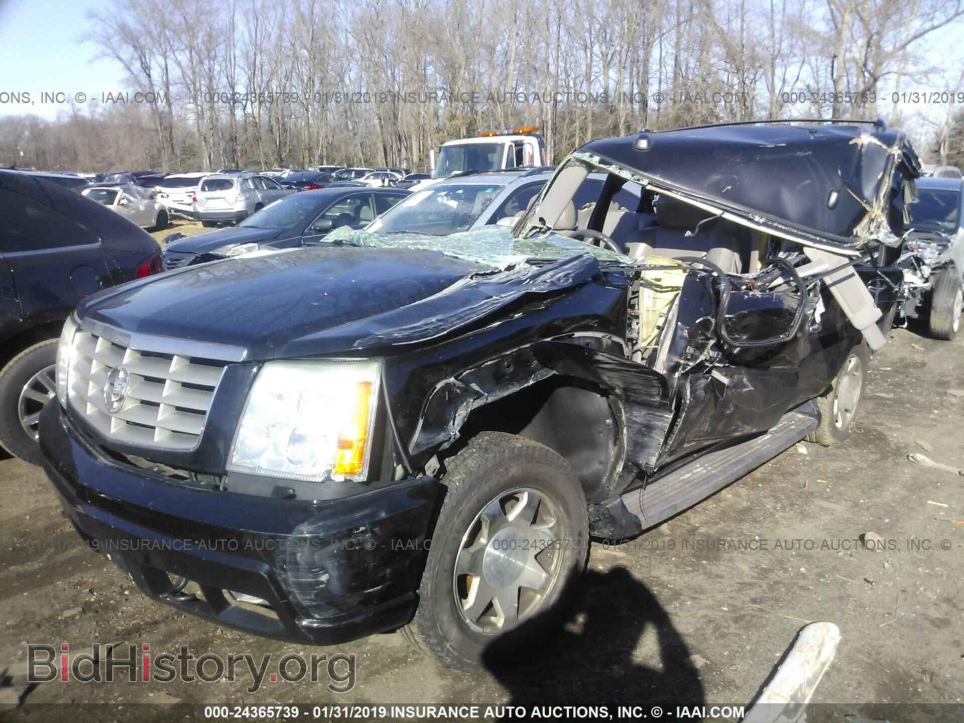 2005 CADILLAC ESCALADE - VIN: 1GYEK63N65R102720 - Фото 2