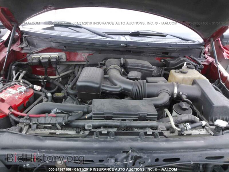 2010 Ford F150 (VIN 1FTFW1EV4AFC84217) — фото 10 из 10