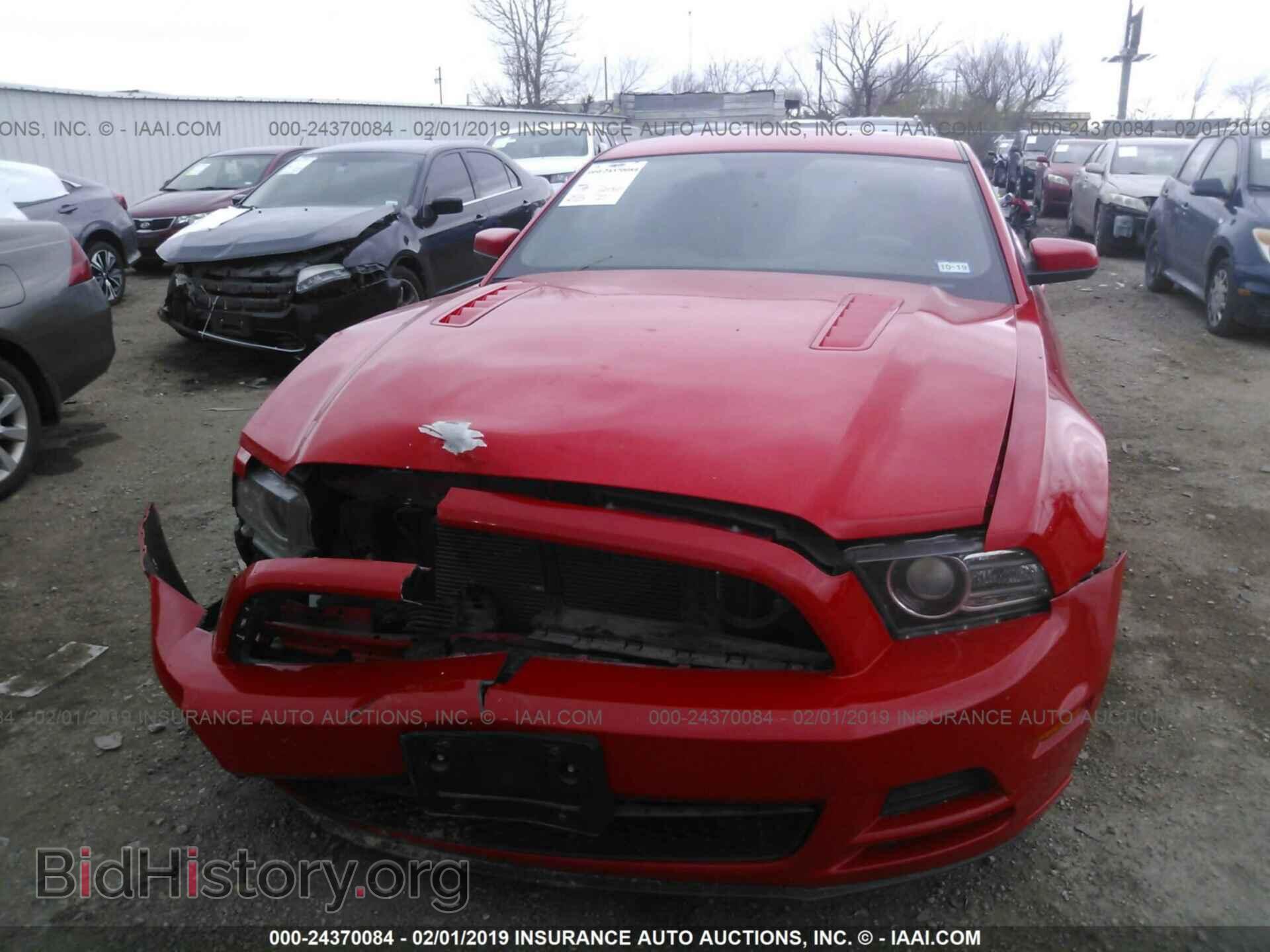 2013 FORD MUSTANG - VIN: 1ZVBP8CFXD5241279 - Фото 6