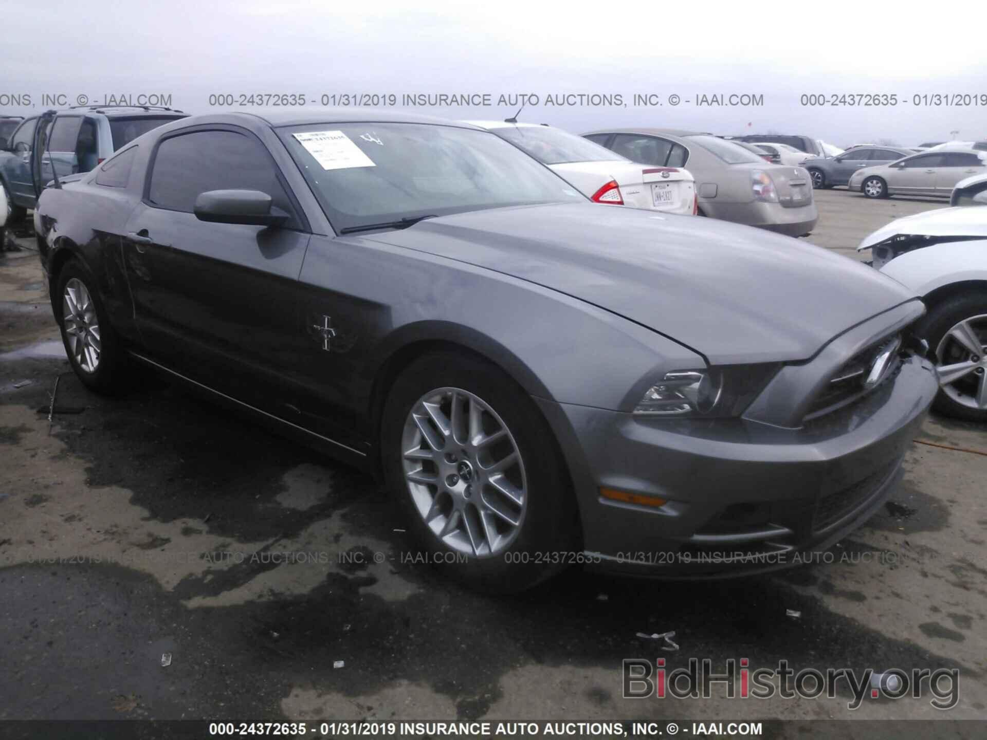 Photo 1ZVBP8AM0E5235526 - FORD MUSTANG 2014