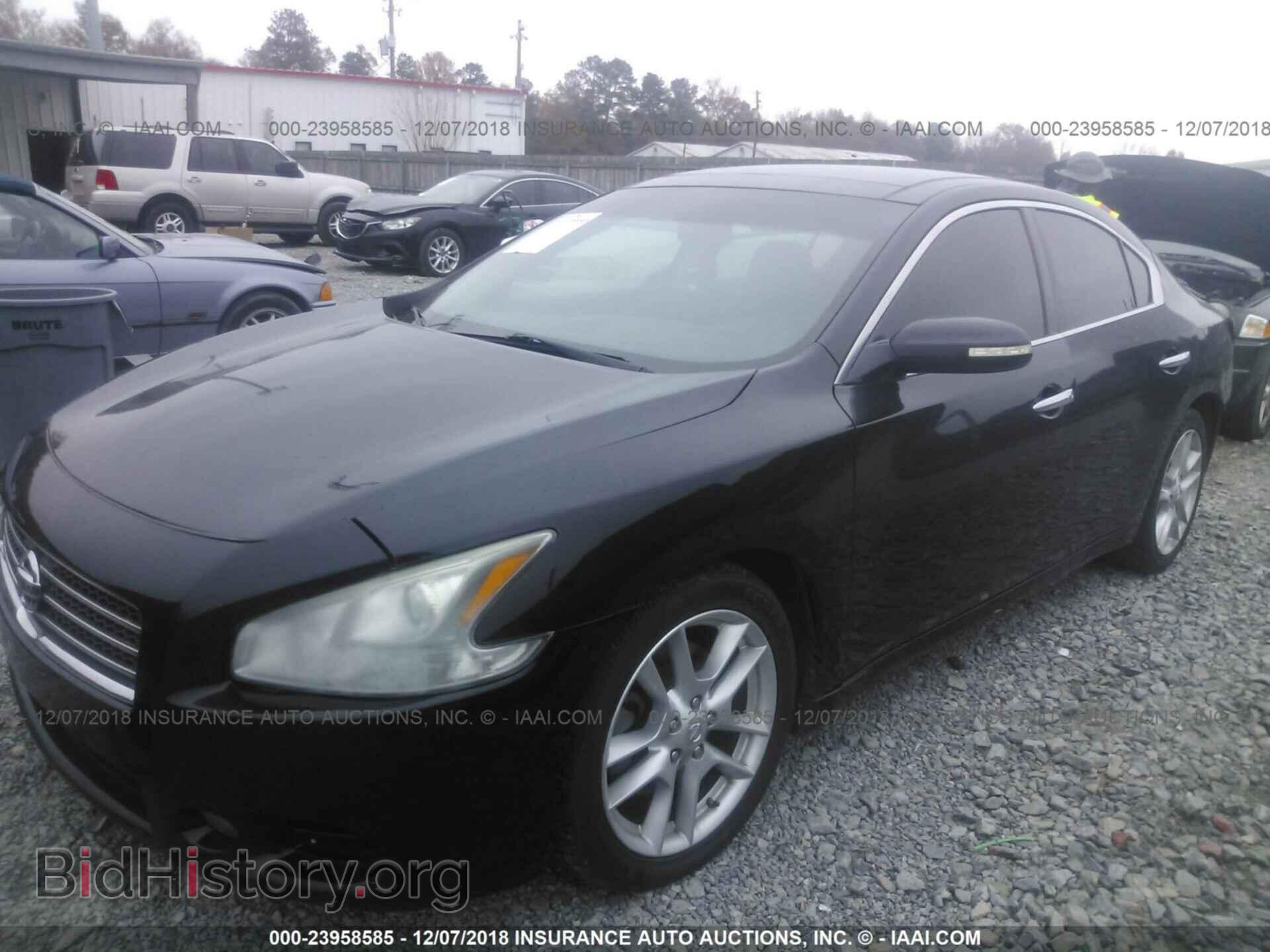 2009 NISSAN MAXIMA - VIN: 1N4AA51E89C812124 - Фото 2