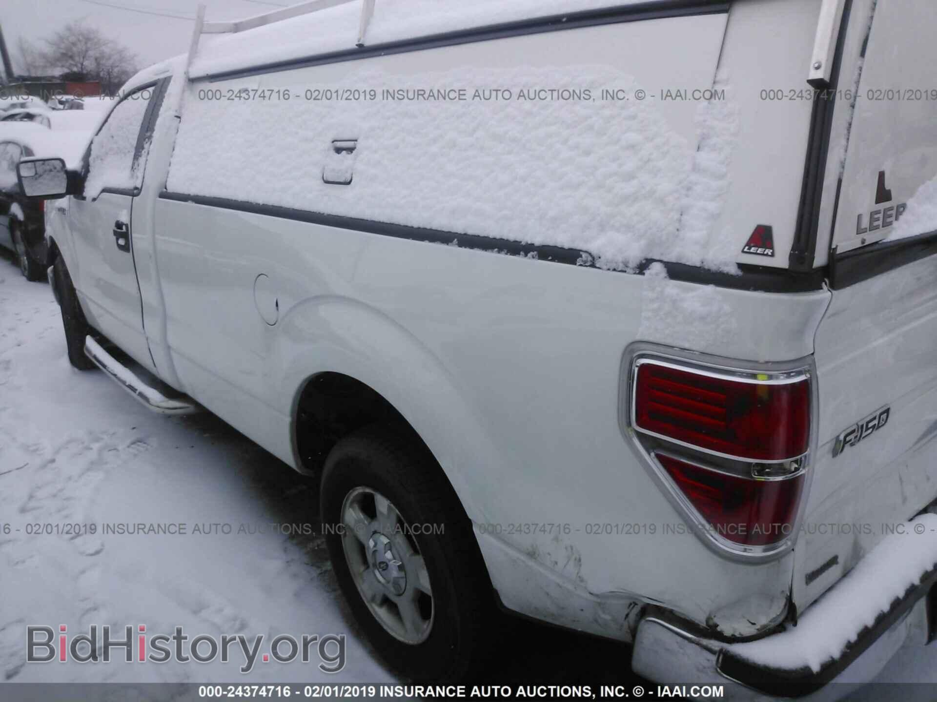 2013 FORD F150 - VIN: 1FTMF1CM4DKF89925 - Фото 3
