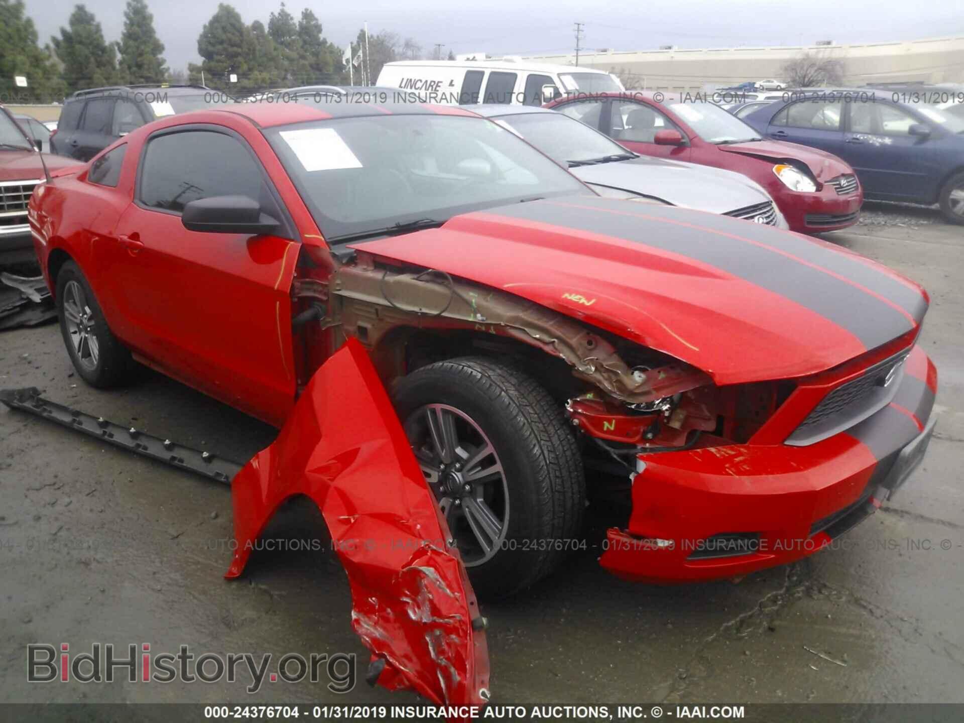 Photo 1ZVBP8AM7B5117565 - FORD MUSTANG 2011