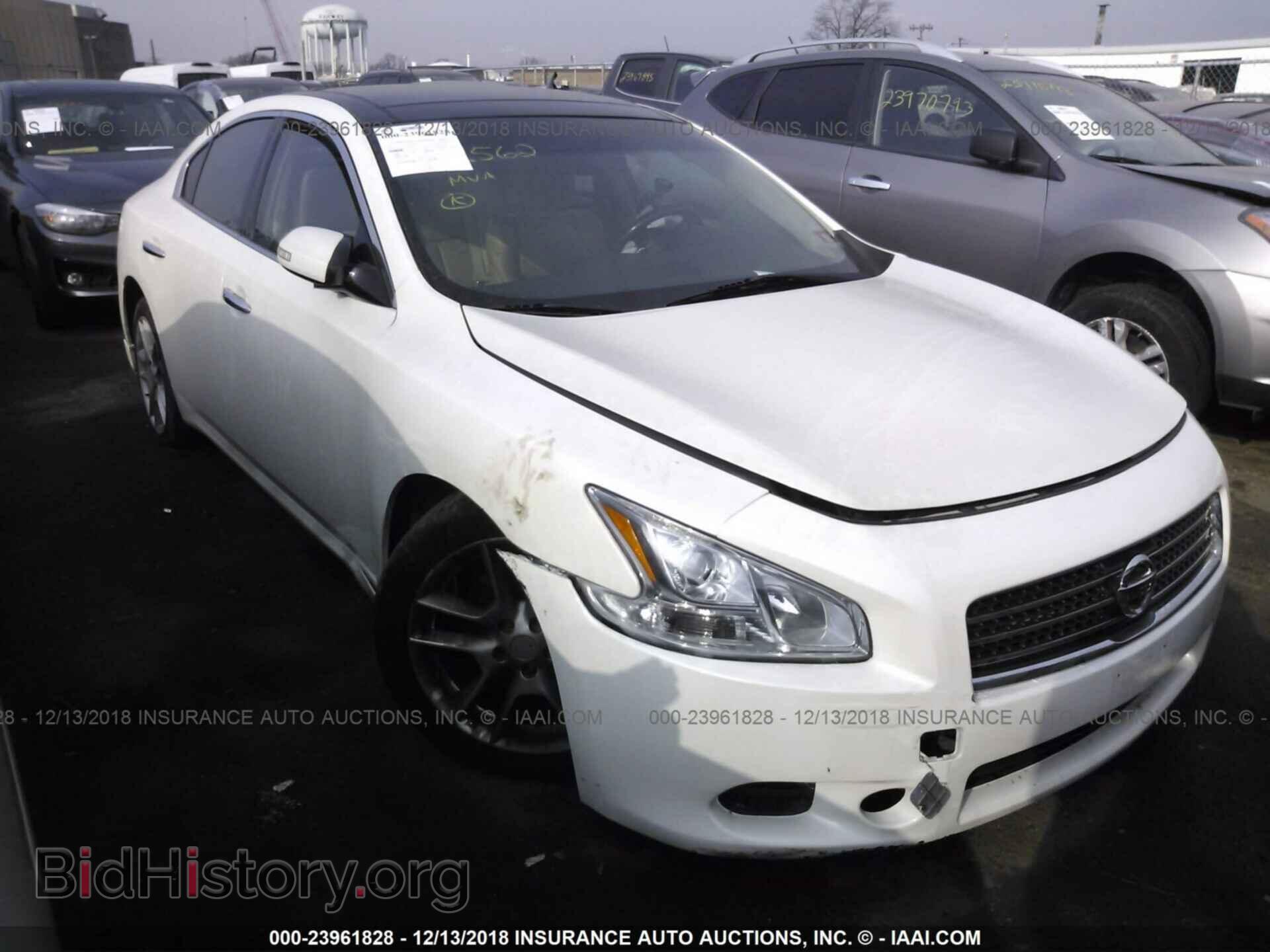 Фотография 1N4AA5AP1AC868976 - NISSAN MAXIMA 2010