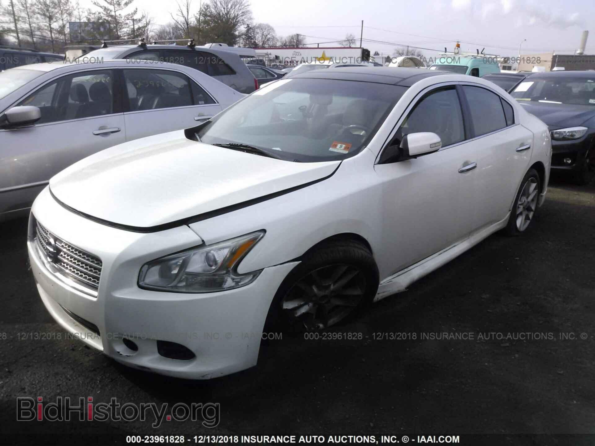 2010 NISSAN MAXIMA - VIN: 1N4AA5AP1AC868976 - Фото 2
