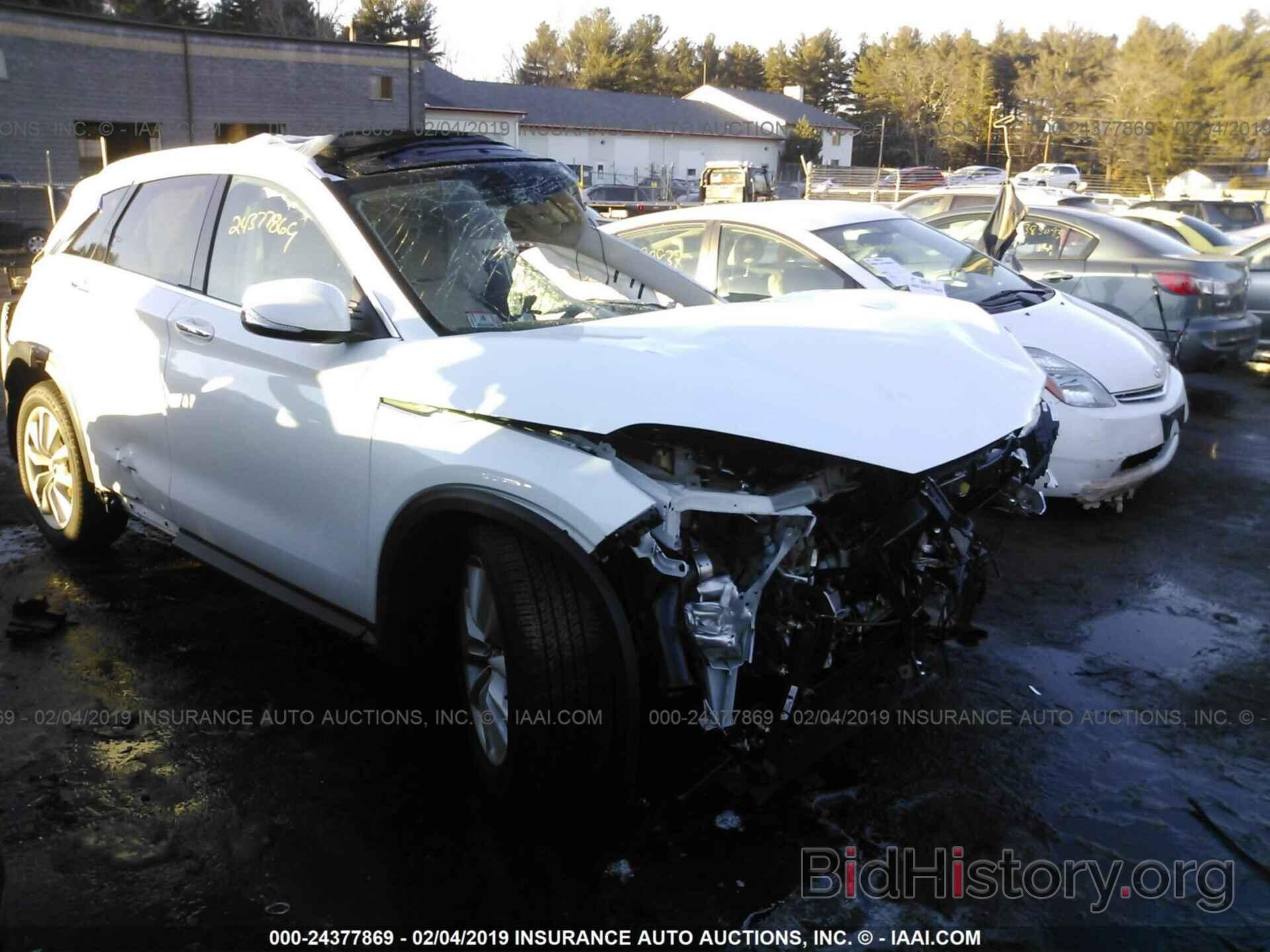 Photo 3PCAJ5M31KF115469 - INFINITI QX50 2019