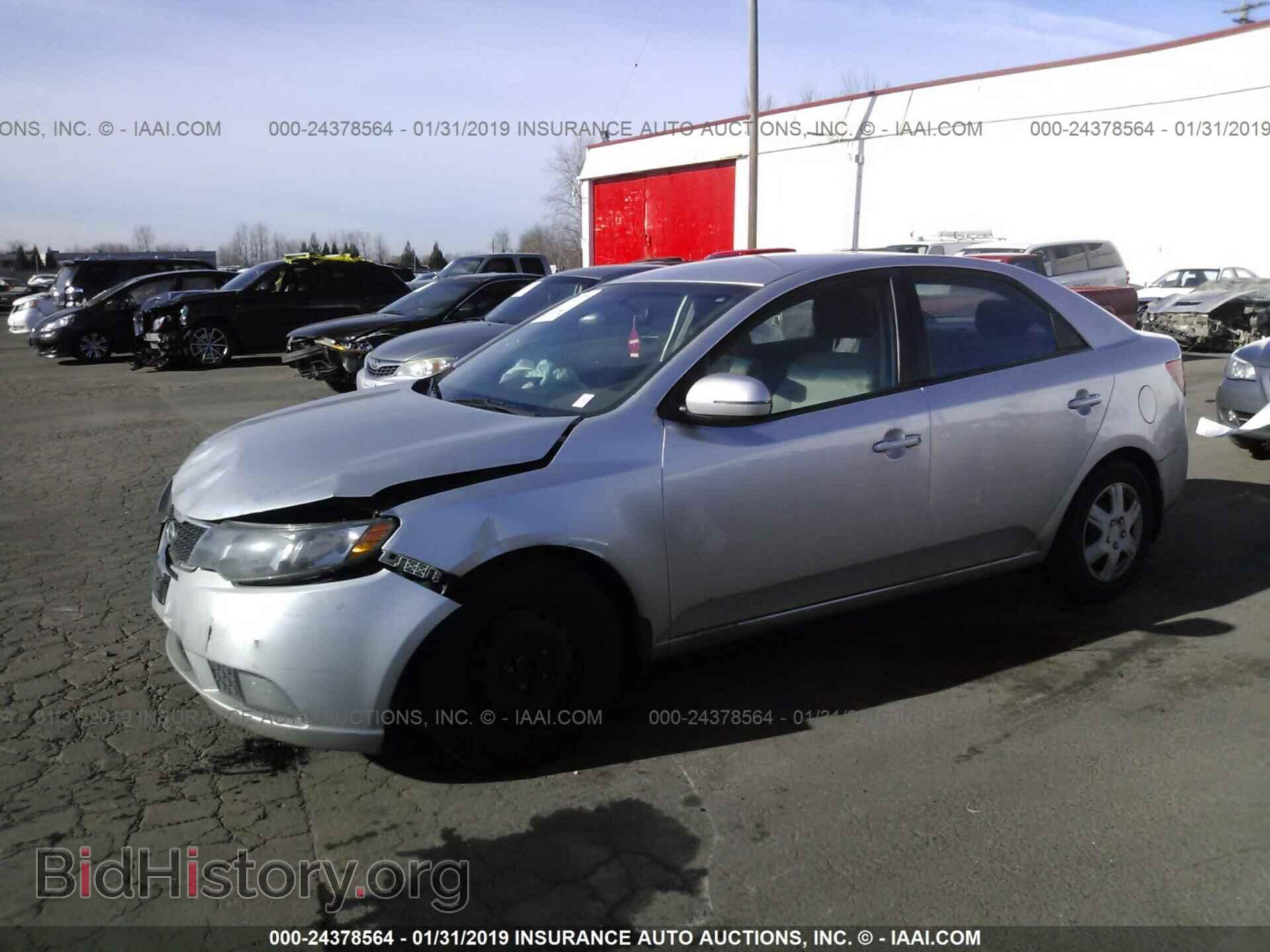 2011 KIA FORTE - VIN: KNAFU4A22B5449706 - Фото 2