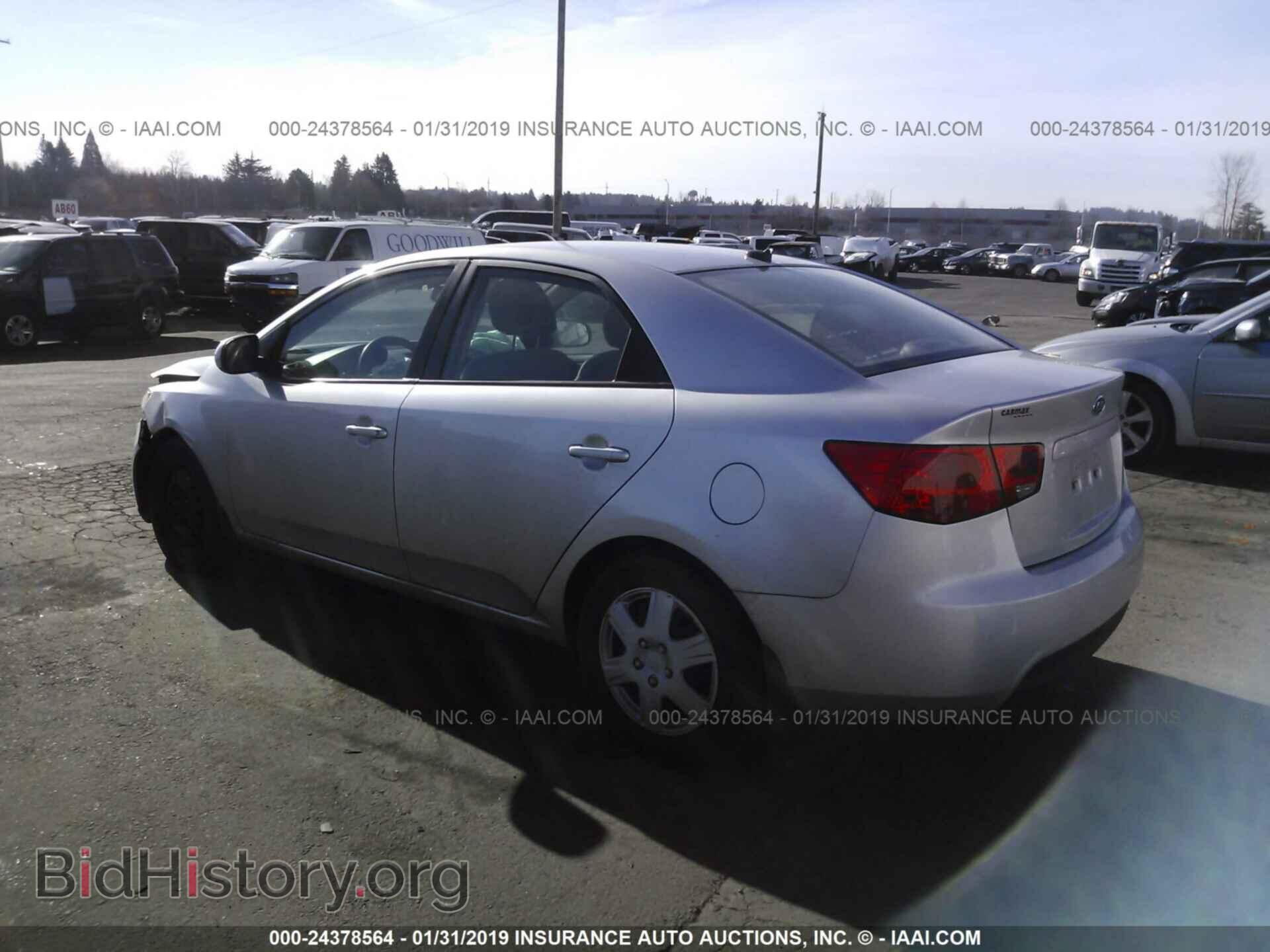 2011 KIA FORTE - VIN: KNAFU4A22B5449706 - Фото 3