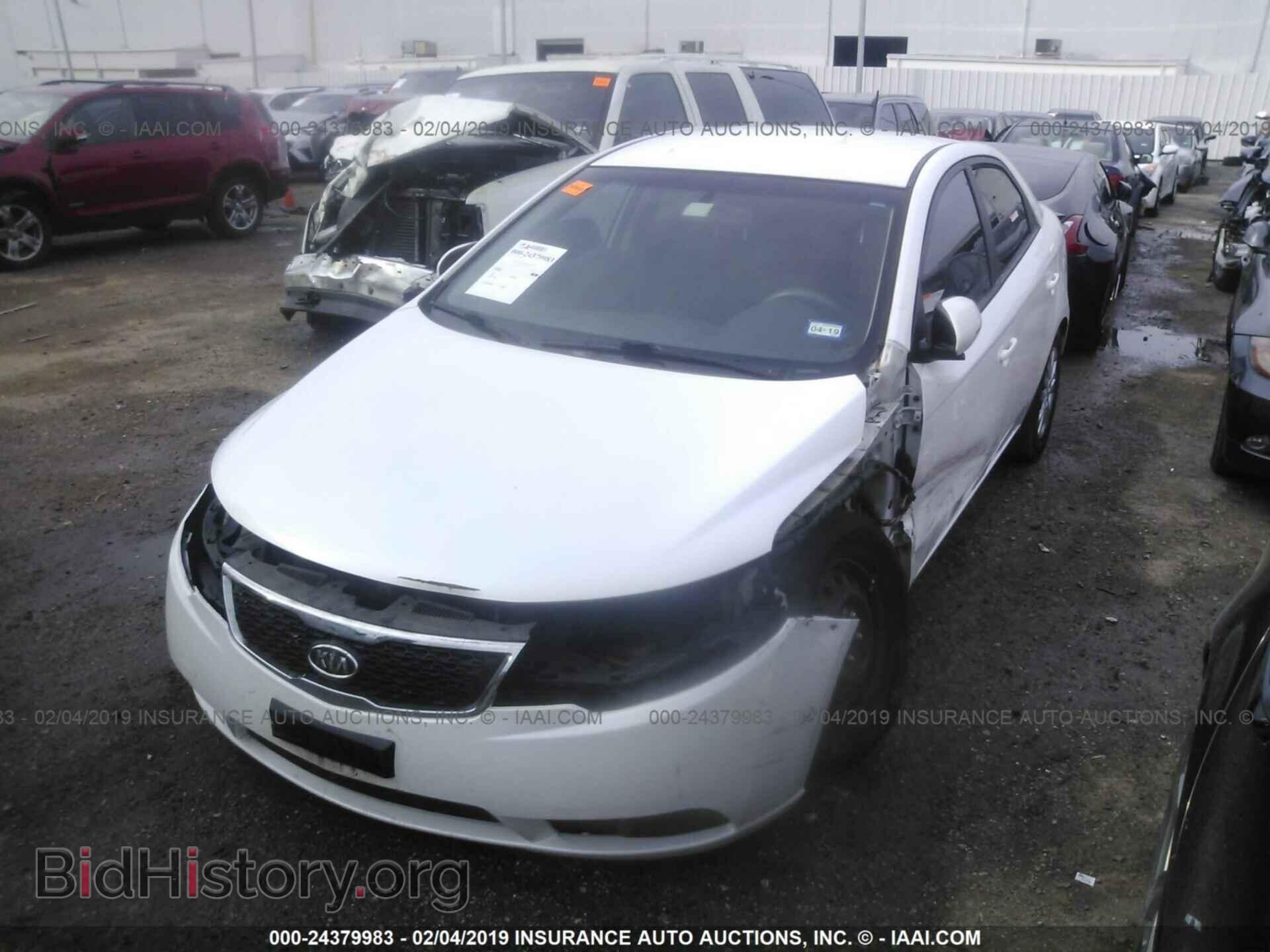 2012 KIA FORTE - VIN: KNAFU4A2XC5598155 - Фото 2