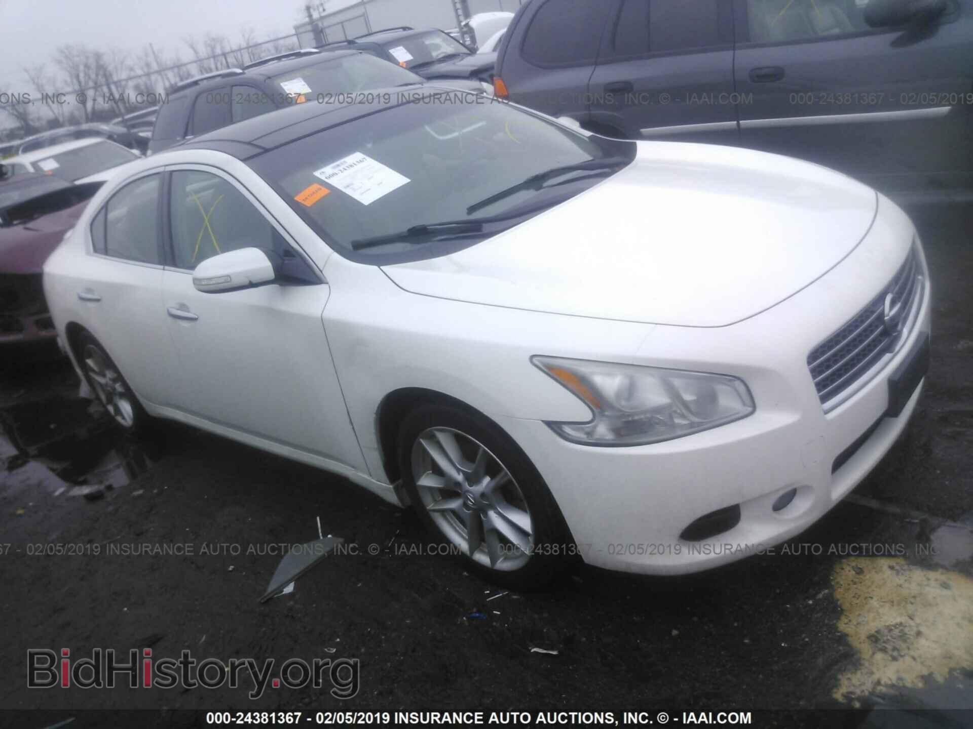 Photo 1N4AA5AP1BC804146 - NISSAN MAXIMA 2011