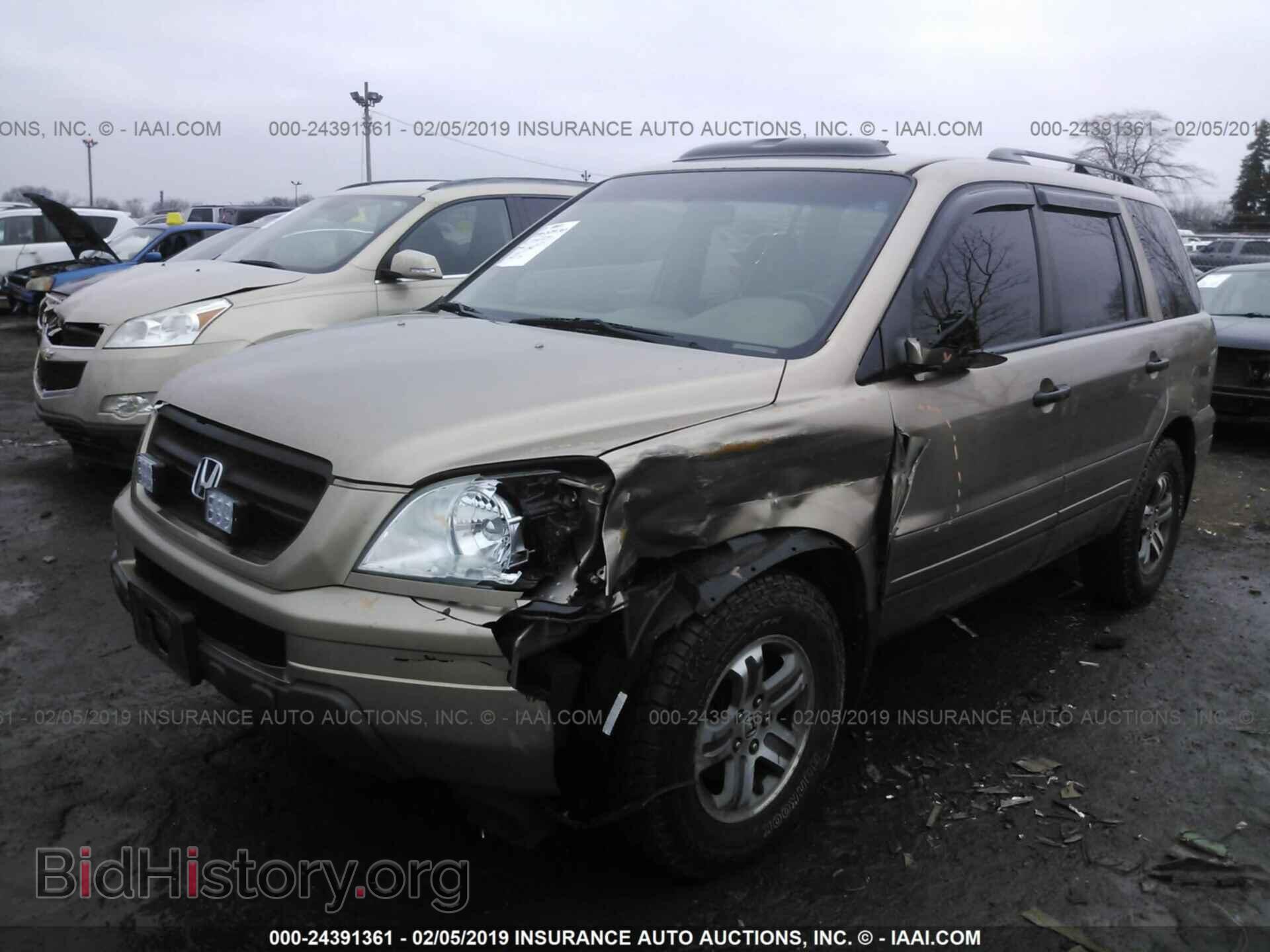 2005 HONDA PILOT - VIN: 5FNYF185X5B010826 - Фото 2