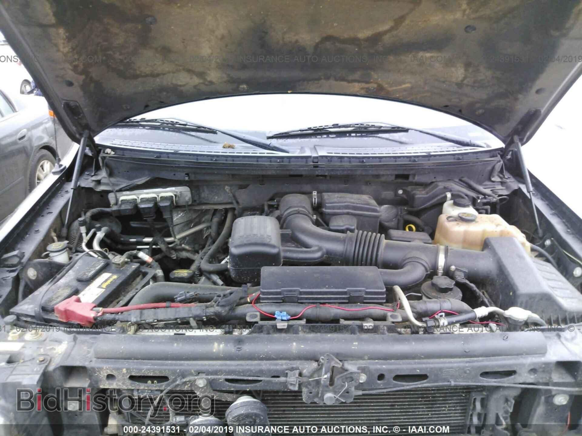 2010 FORD F150 - VIN: 1FTFW1EV4AFD76170 - Фото 10