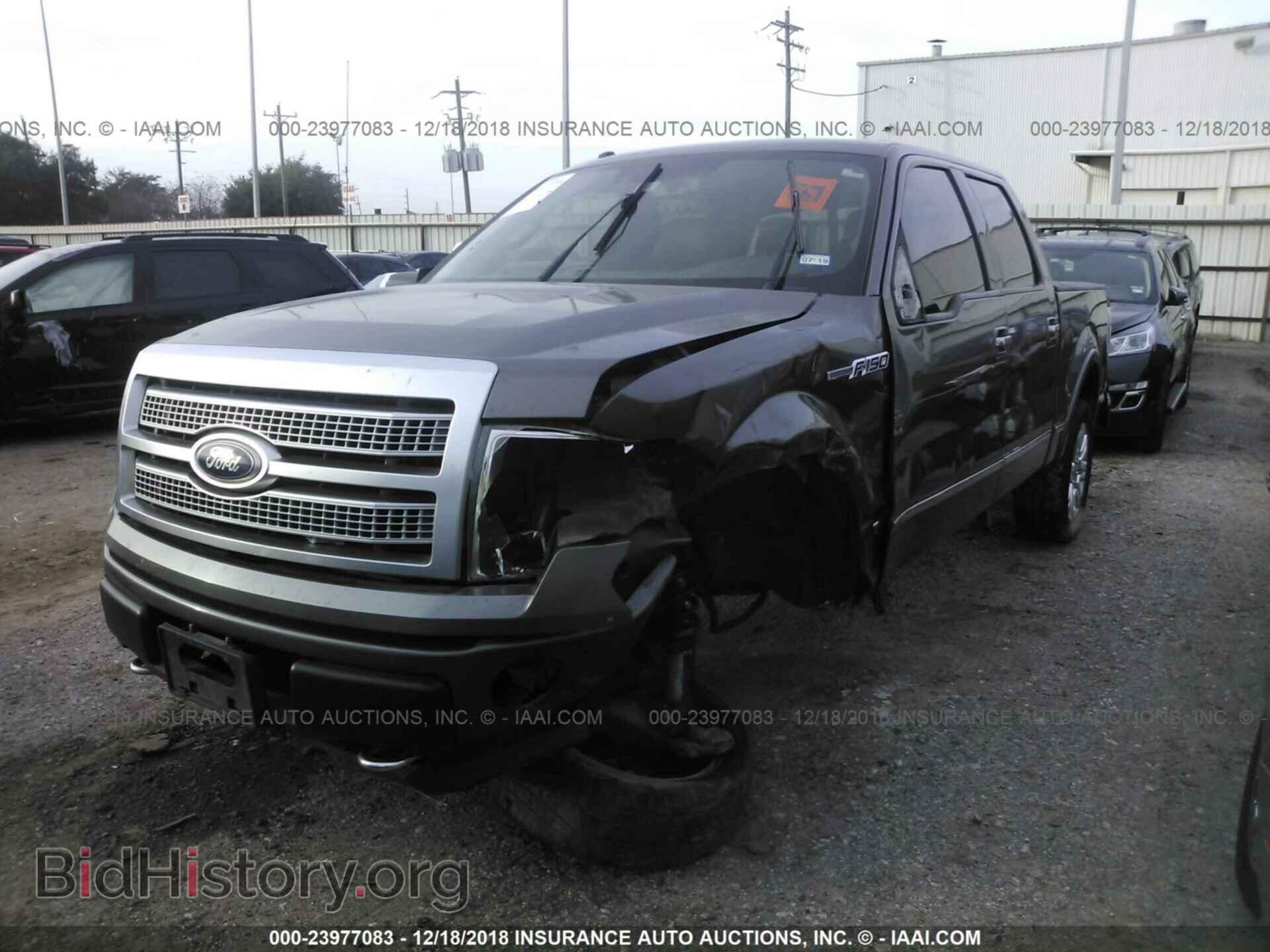 2011 FORD F150 - VIN: 1FTFW1E63BFA40231 - Фото 2