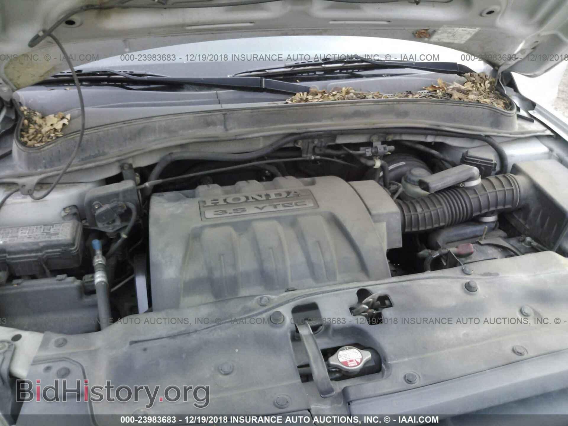 2005 HONDA PILOT - VIN: 5FNYF18545B038461 - Фото 10
