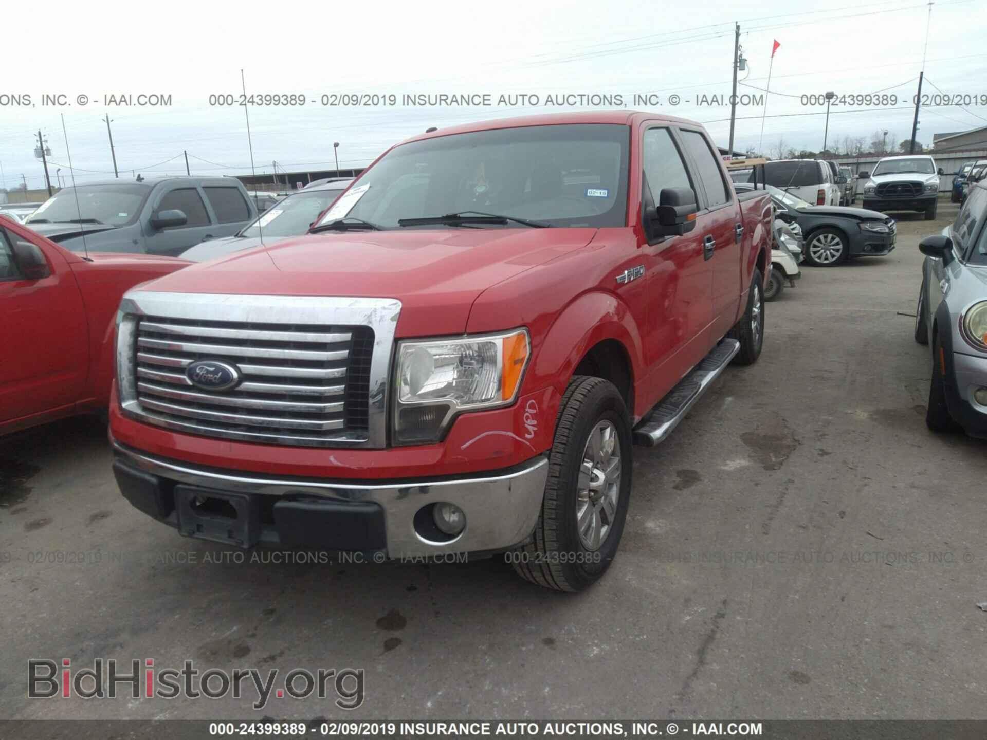 2010 FORD F150 - VIN: 1FTEW1C81AFD18090 - Фото 2
