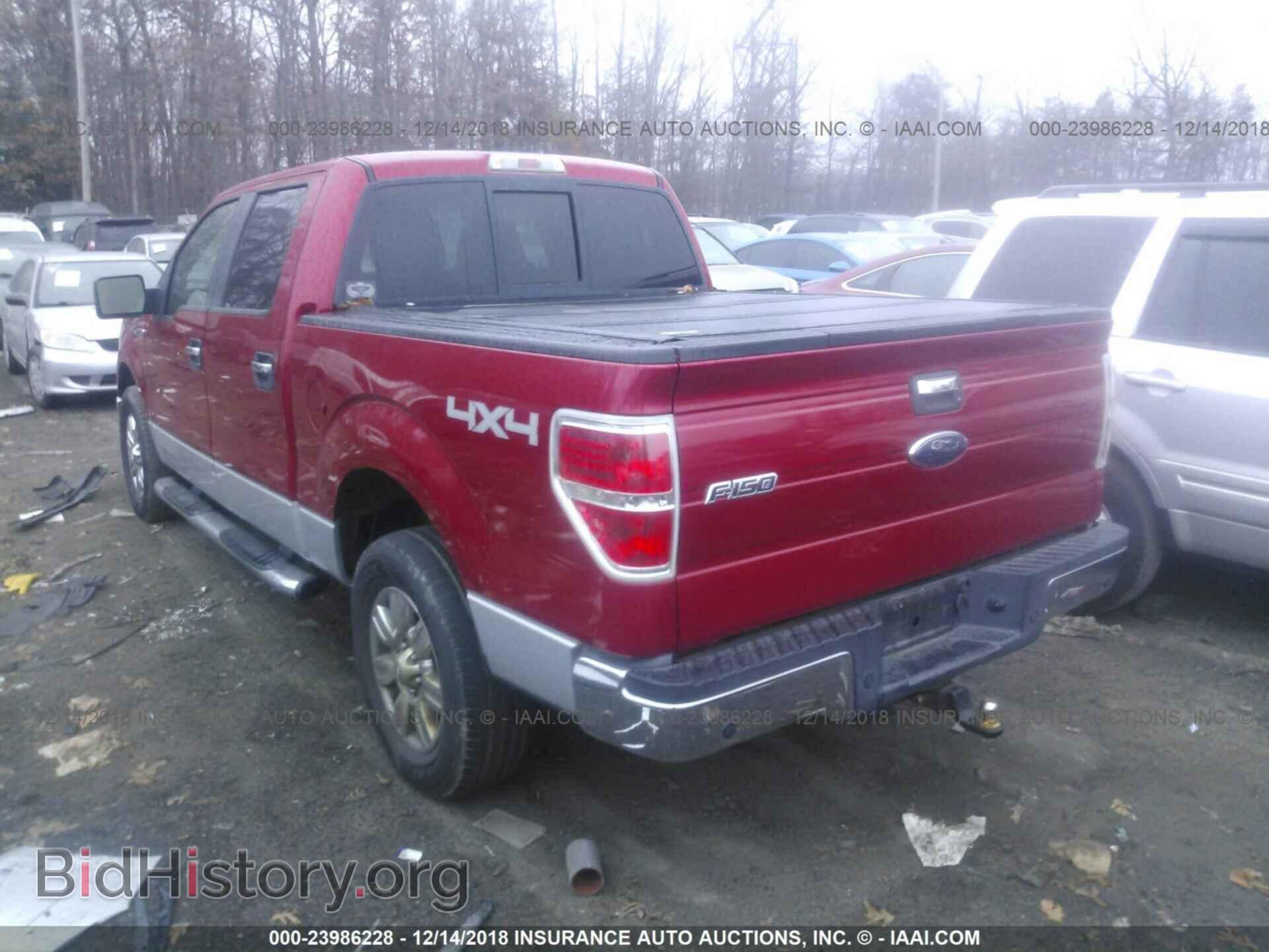 2010 FORD F150 - VIN: 1FTEW1E84AFA58331 - Фото 3