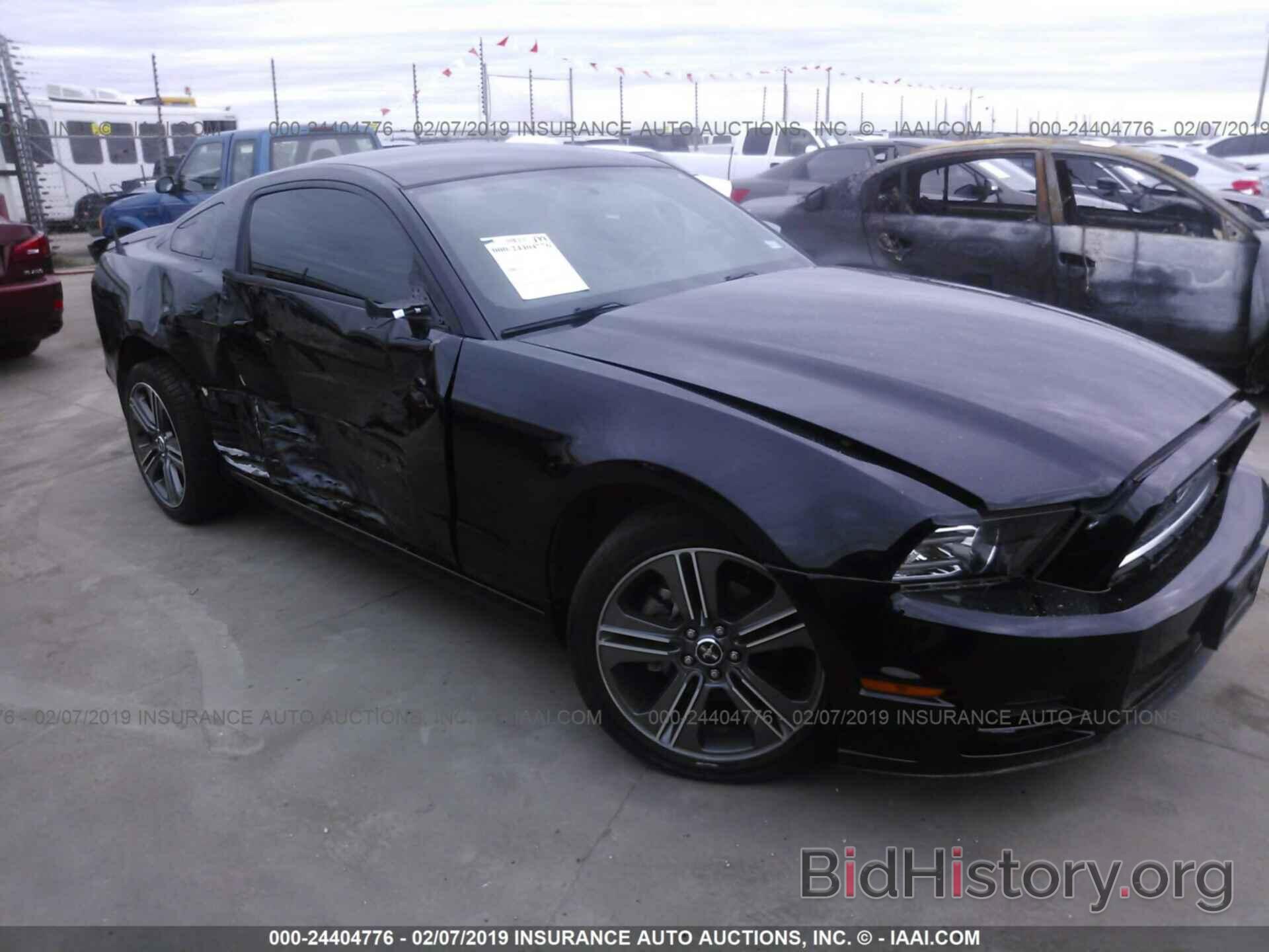 Photo 1ZVBP8AM1D5282174 - FORD MUSTANG 2013