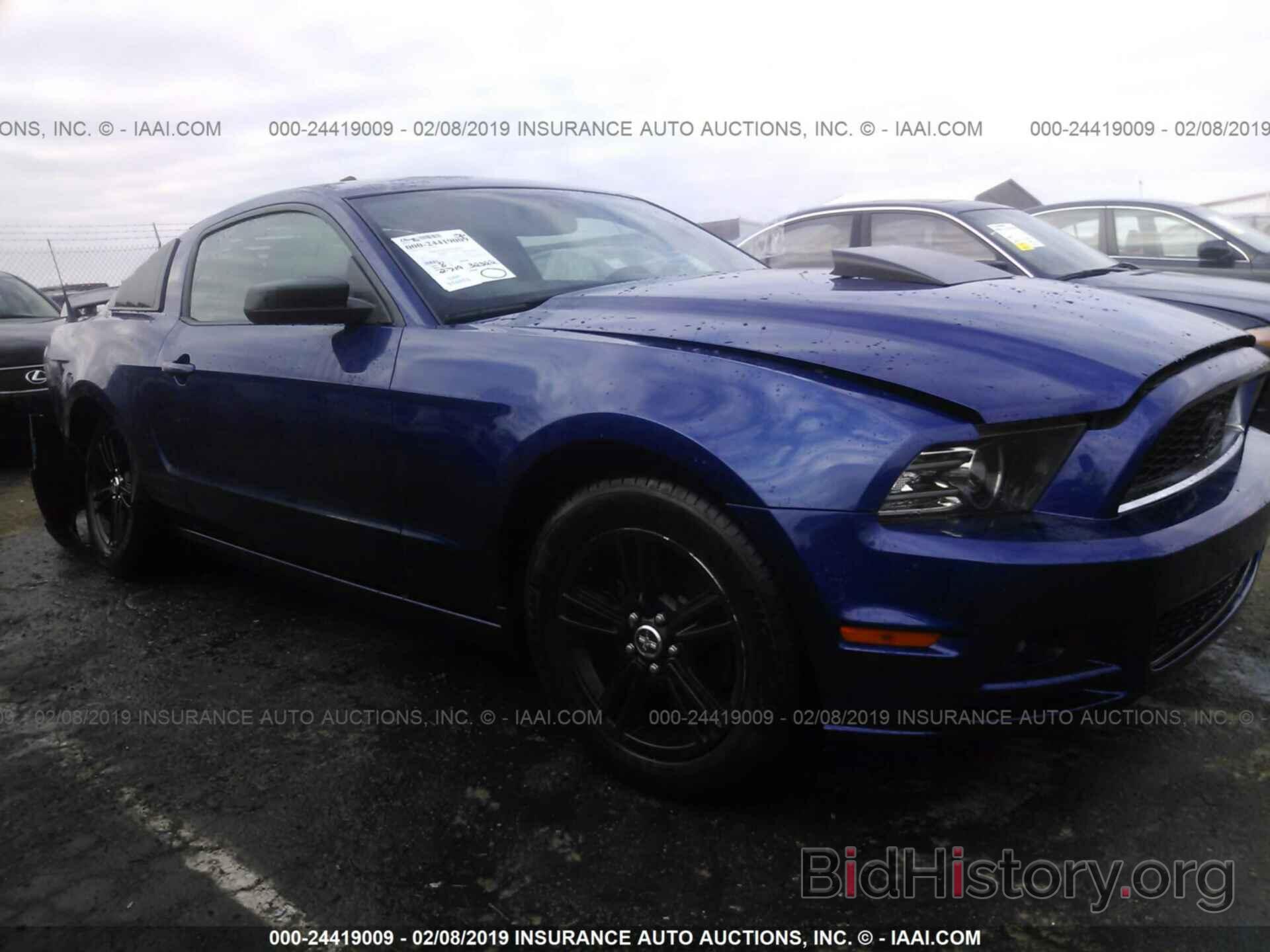 Photo 1ZVBP8AM6E5324629 - FORD MUSTANG 2014