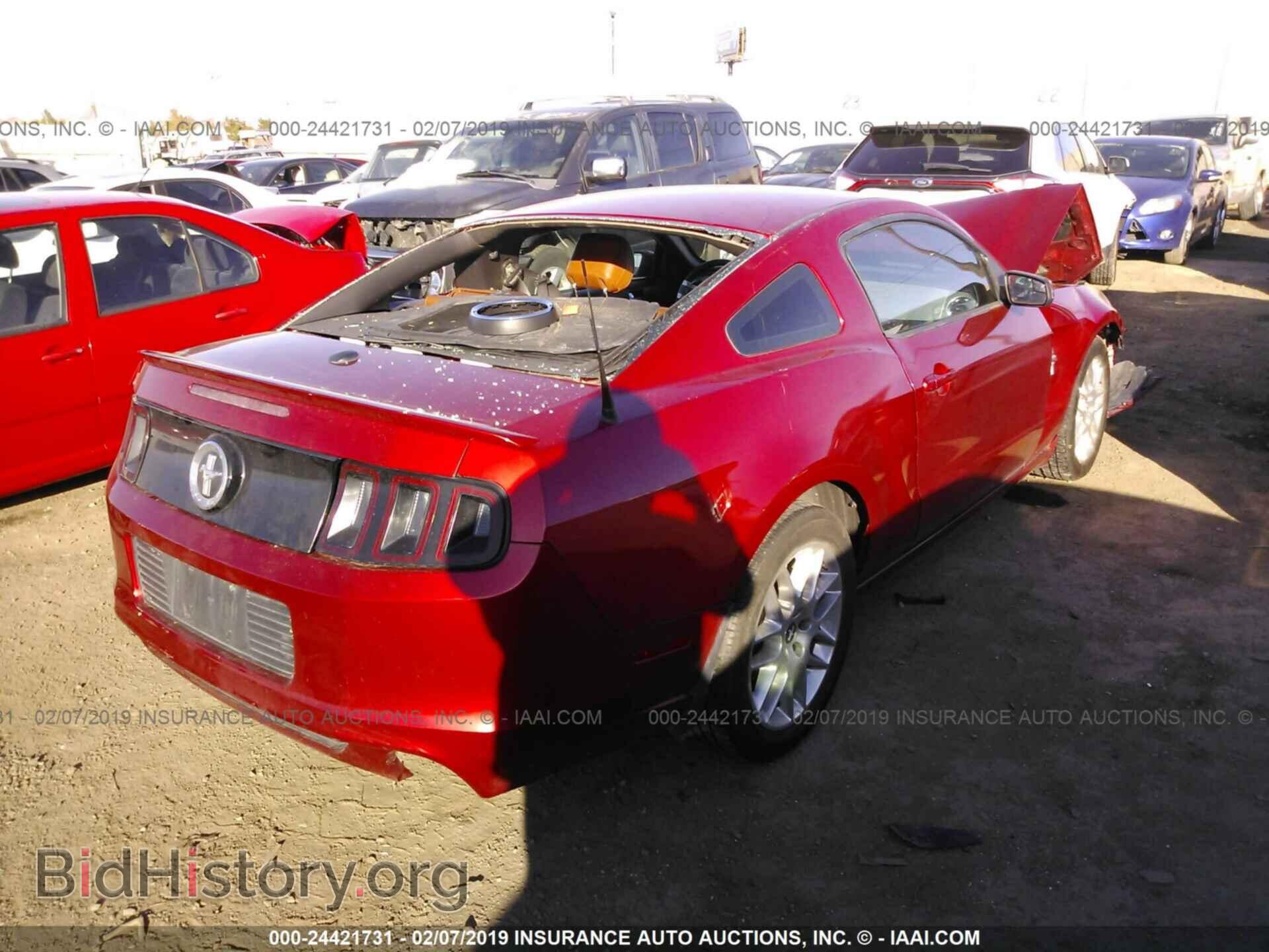 2013 FORD MUSTANG - VIN: 1ZVBP8AM0D5269738 - Фото 4
