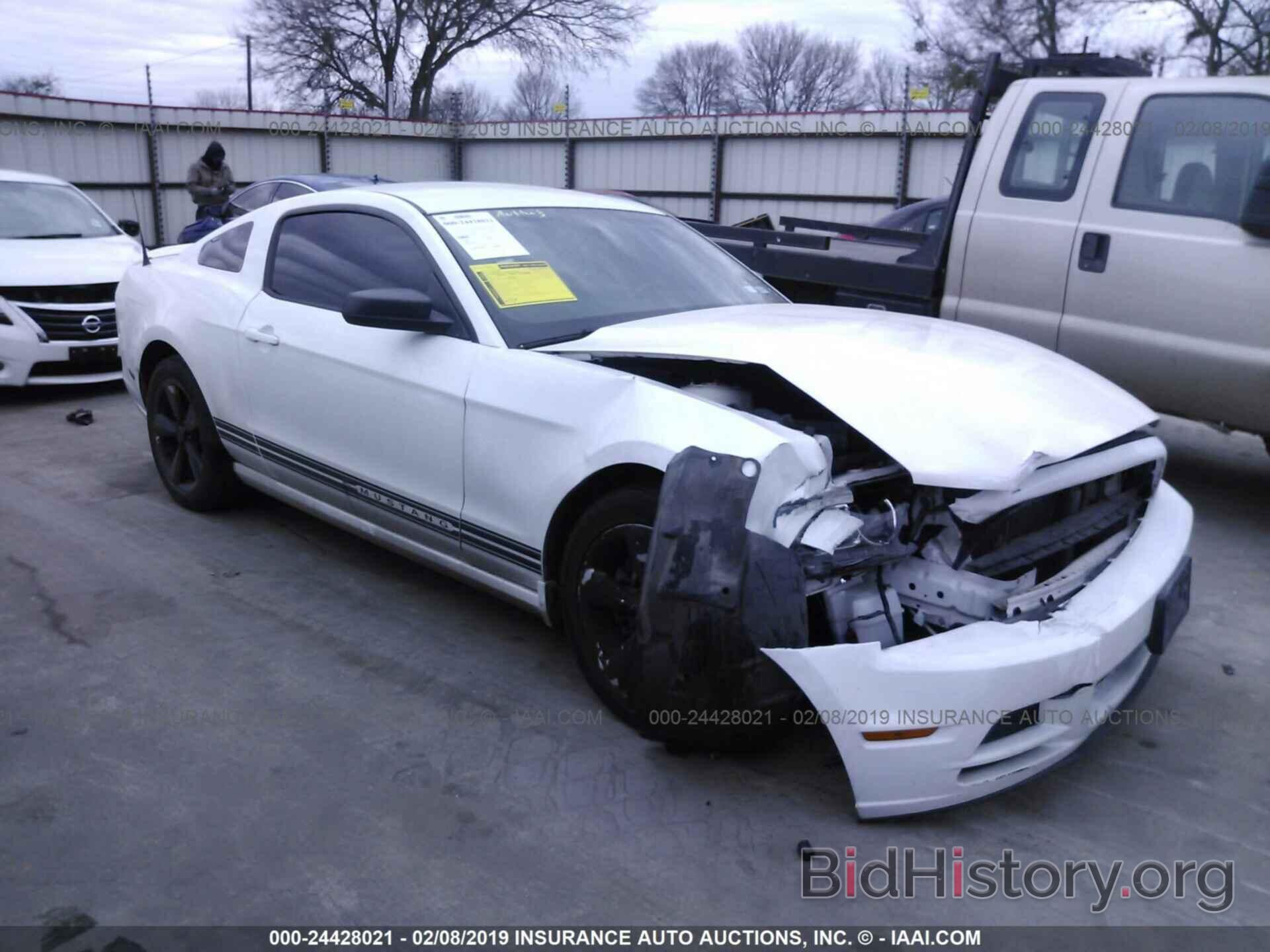 Photo 1ZVBP8AM8D5232064 - FORD MUSTANG 2013