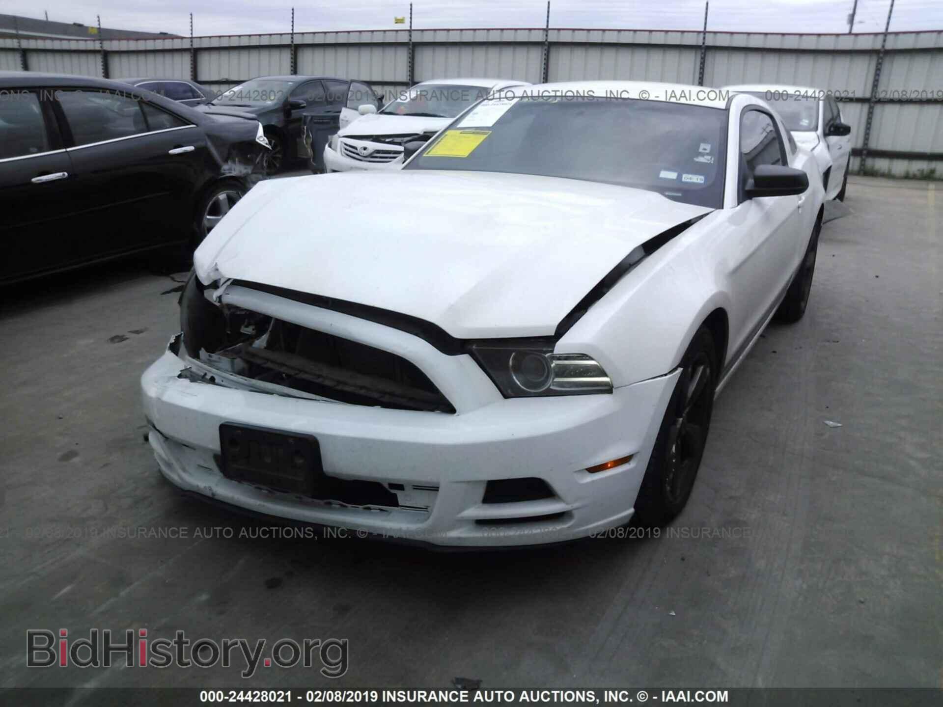 2013 FORD MUSTANG - VIN: 1ZVBP8AM8D5232064 - Фото 2