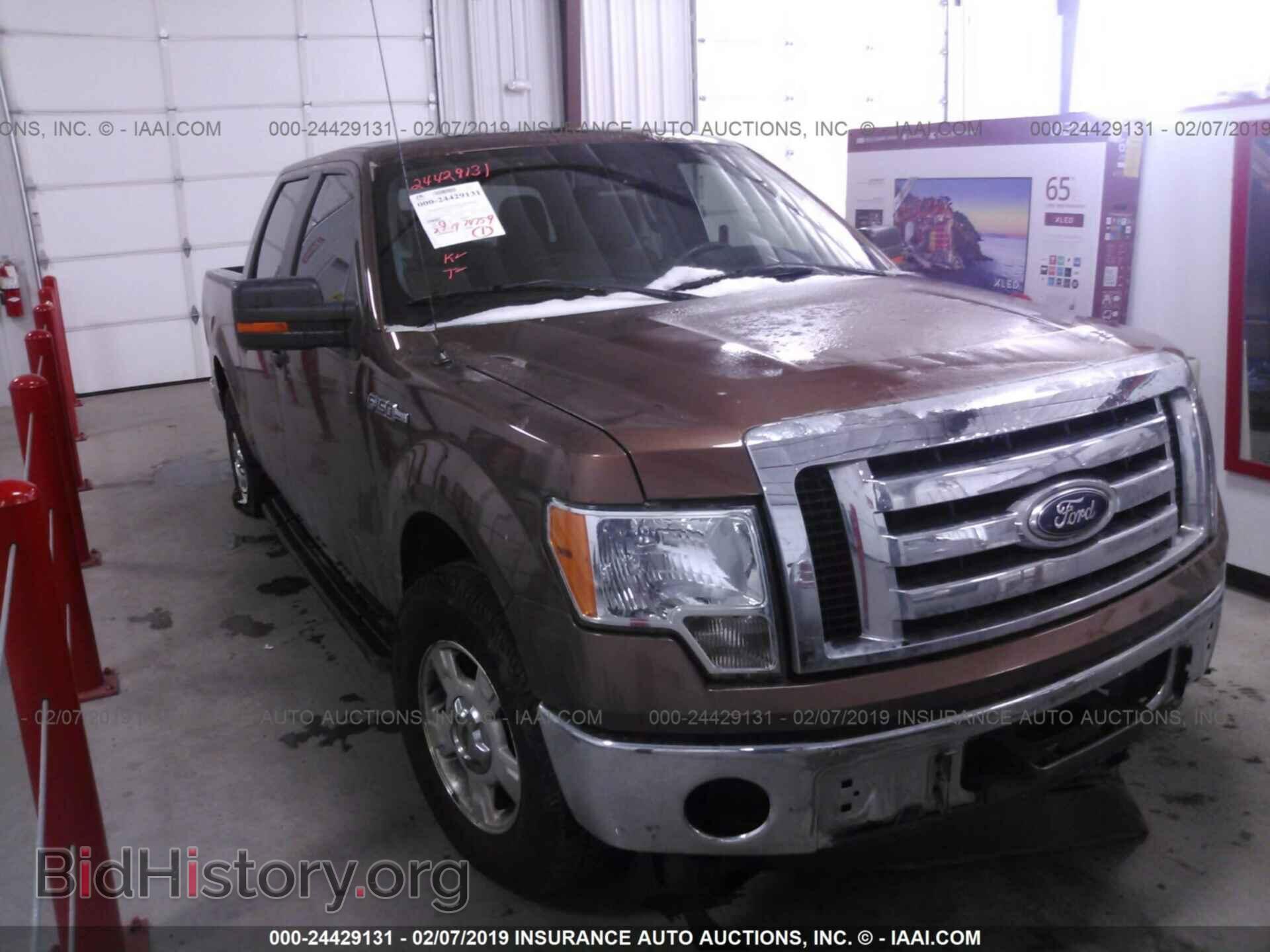 Фотография 1FTEW1CM1CFB29200 - FORD F150 2012