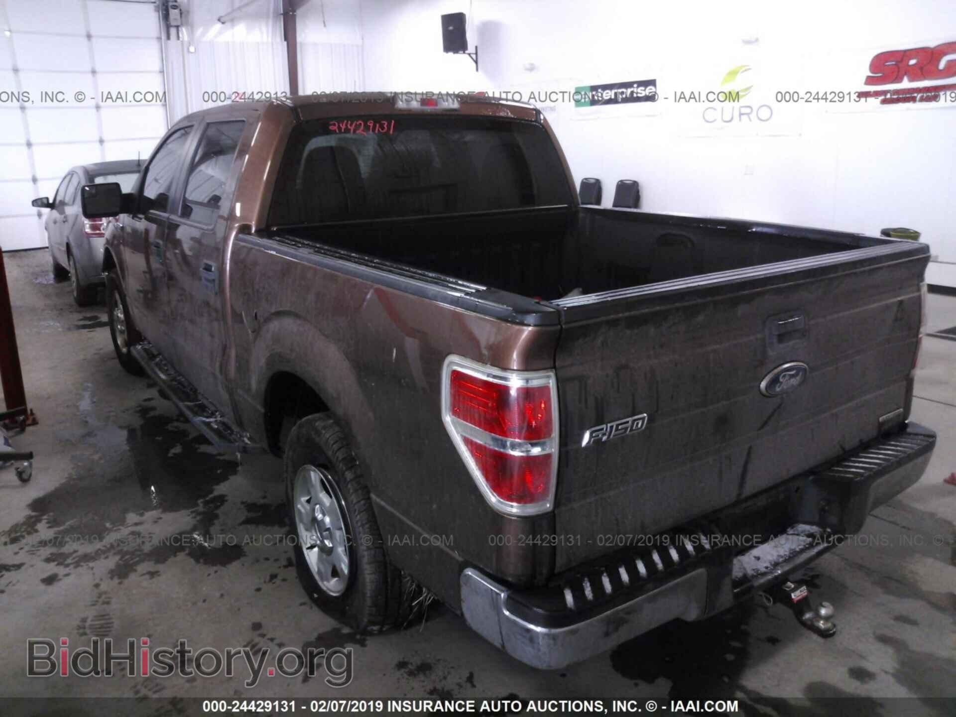 2012 FORD F150 - VIN: 1FTEW1CM1CFB29200 - Фото 3