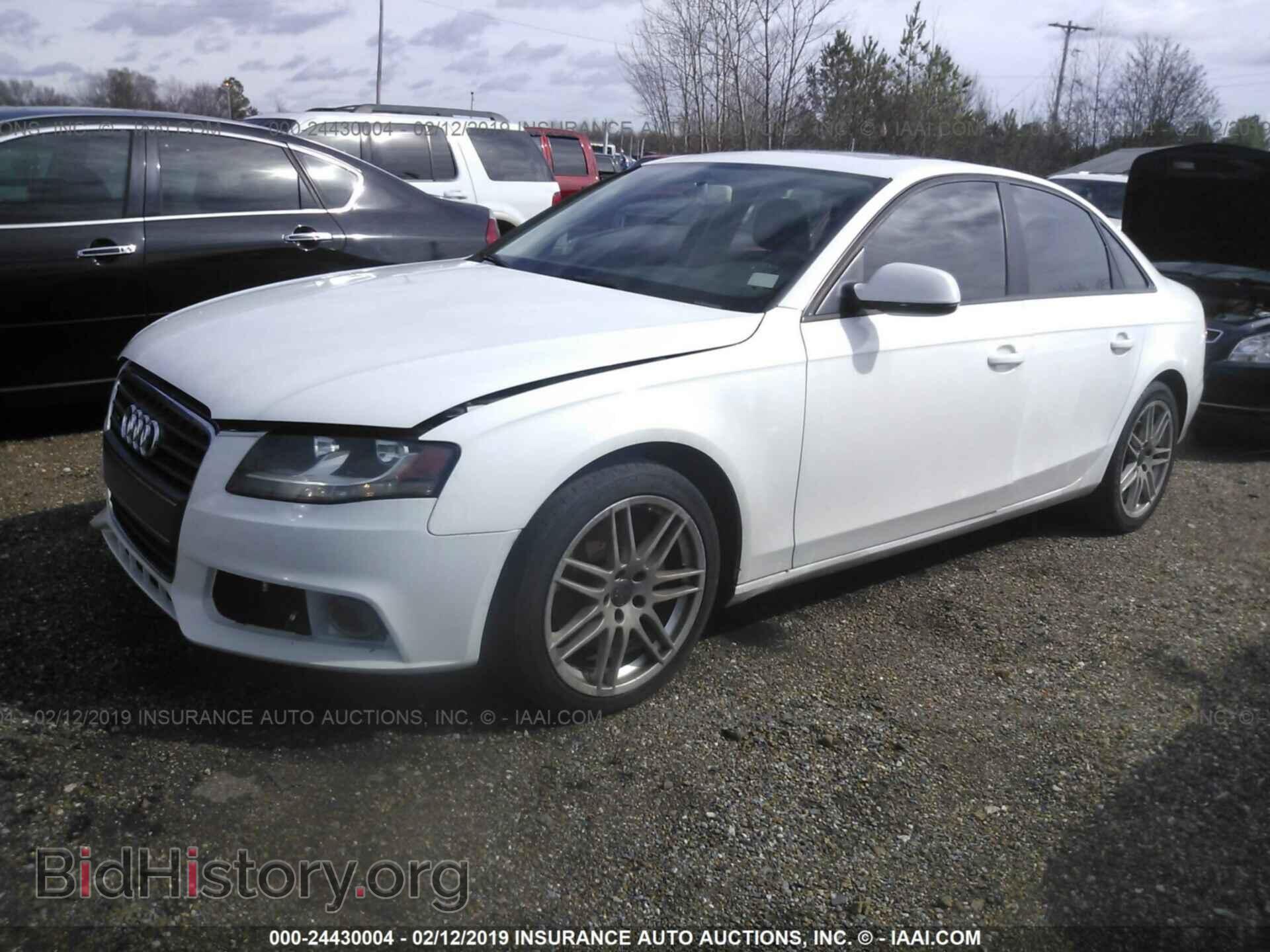 2011 AUDI A4 - VIN: WAUBFAFL2BN005380 - Фото 2