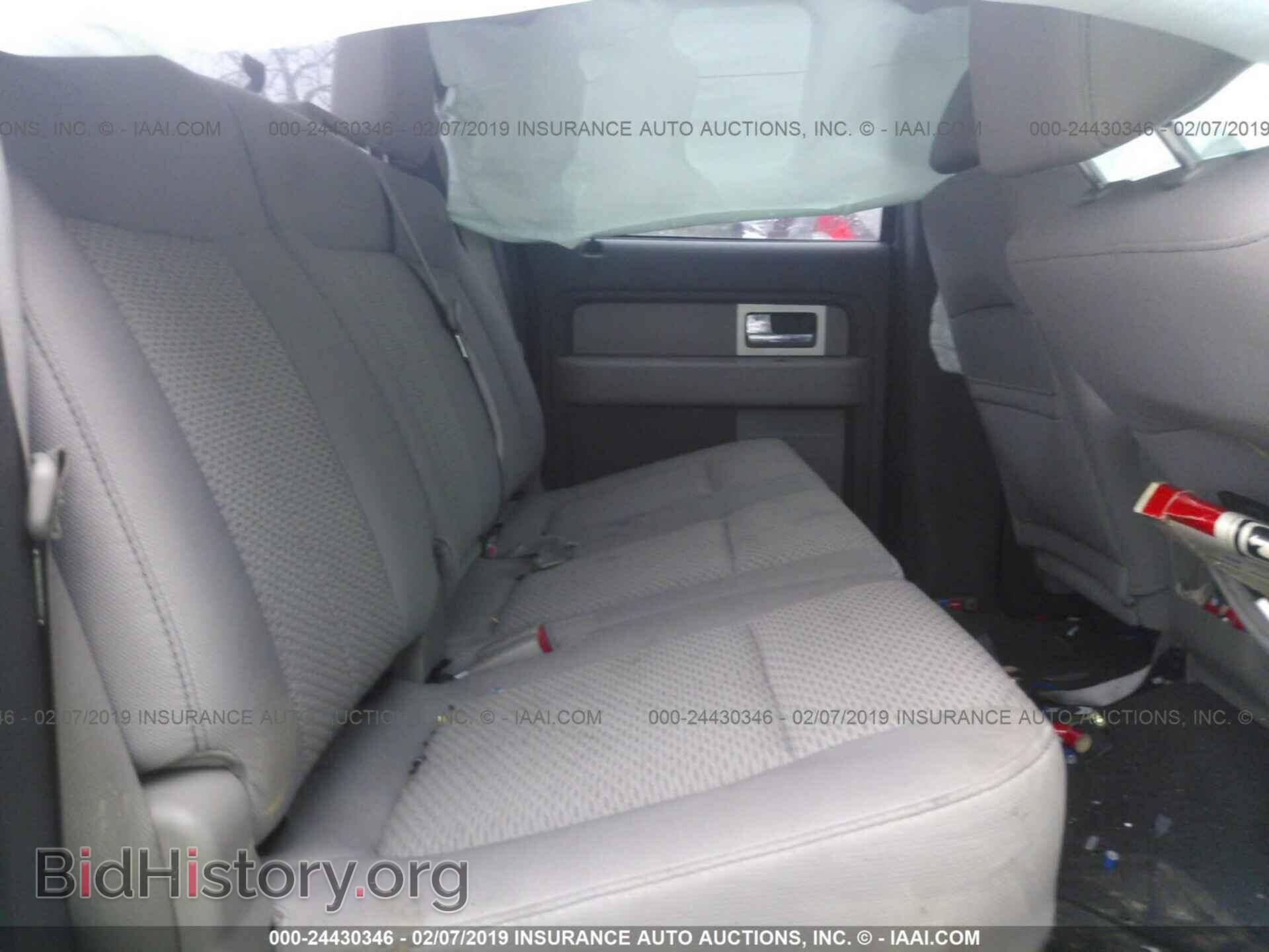 2010 FORD F150 - VIN: 1FTEW1E81AFD33024 - Фото 8
