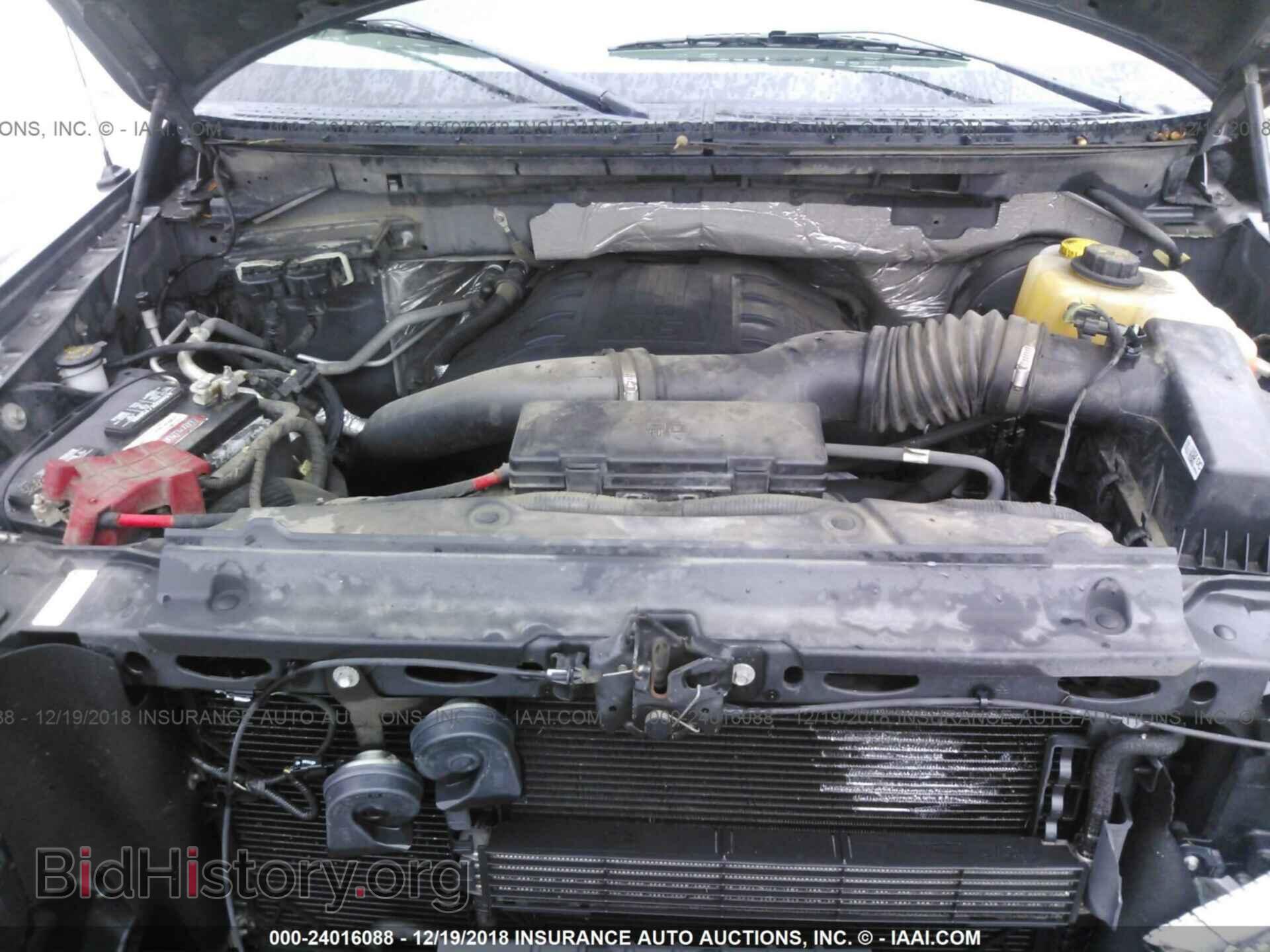 2014 FORD F150 - VIN: 1FTFW1CT5EKE04430 - Фото 10