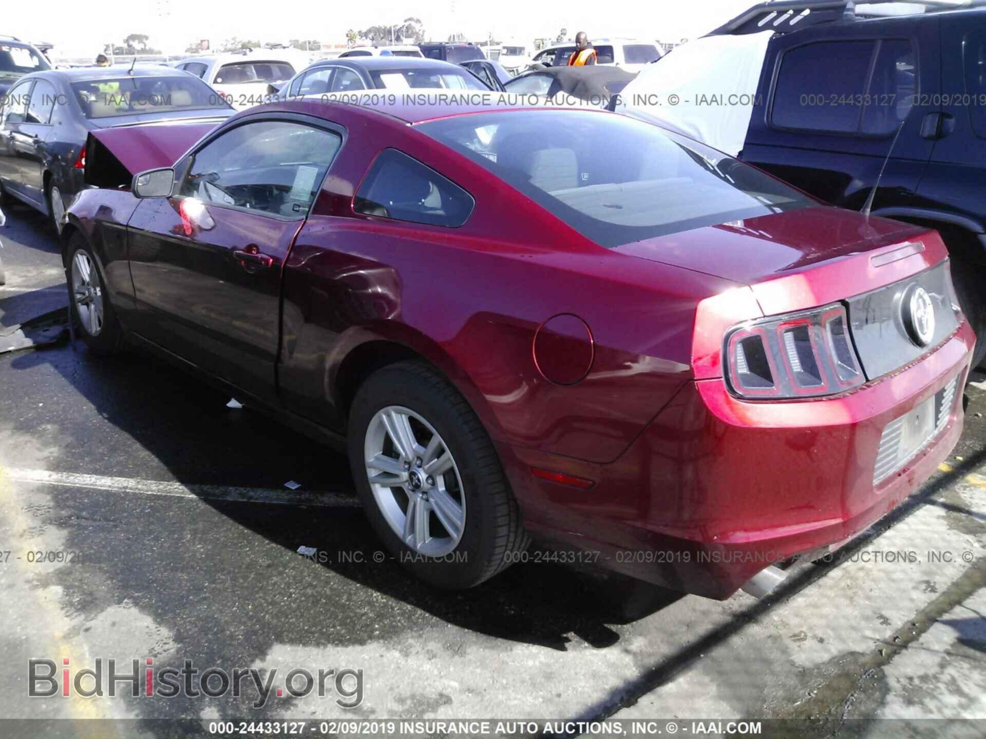 2014 FORD MUSTANG - VIN: 1ZVBP8AM2E5294755 - Фото 3