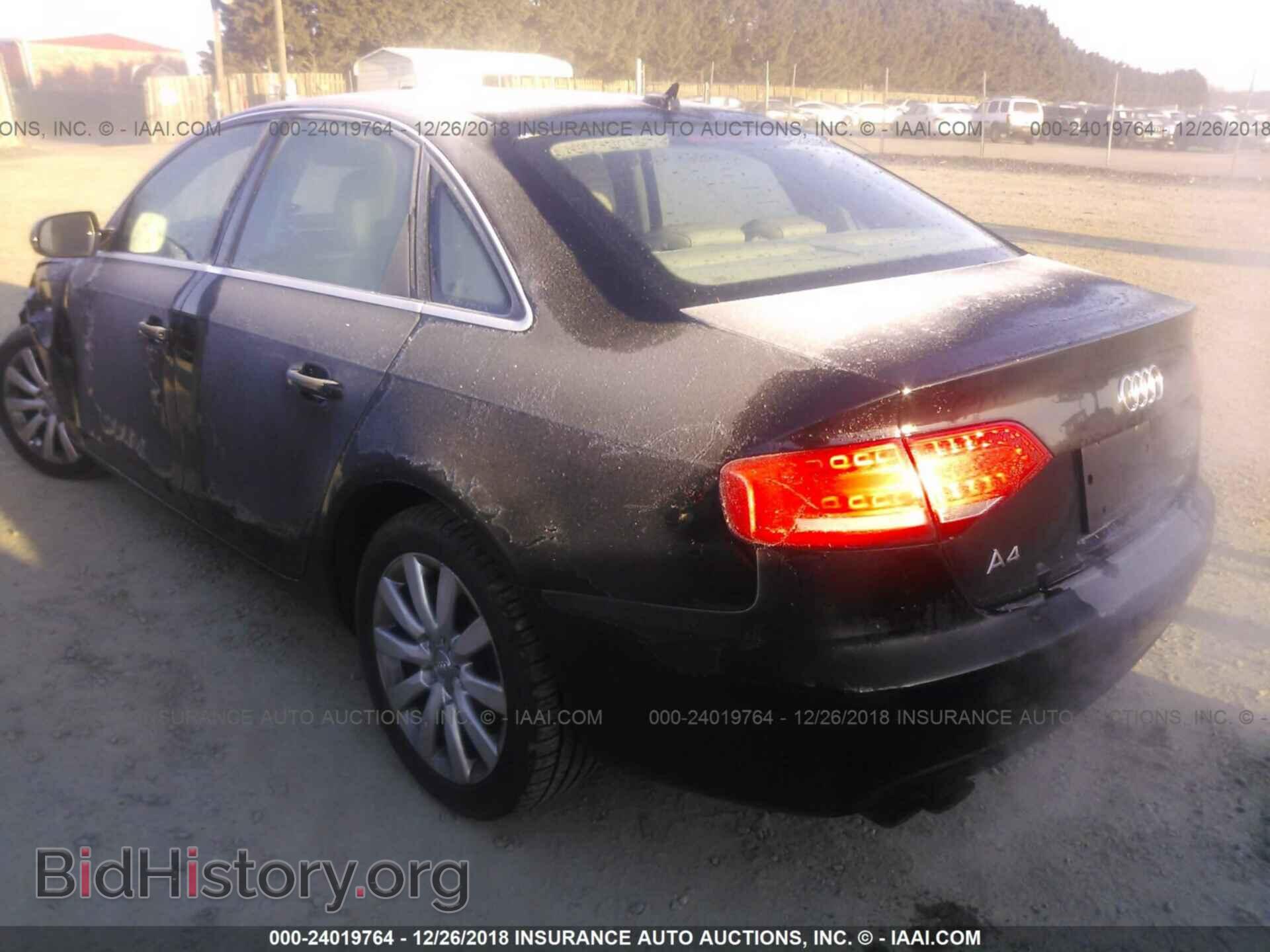 2010 AUDI A4 - VIN: WAUEFAFL3AN060254 - Фото 3