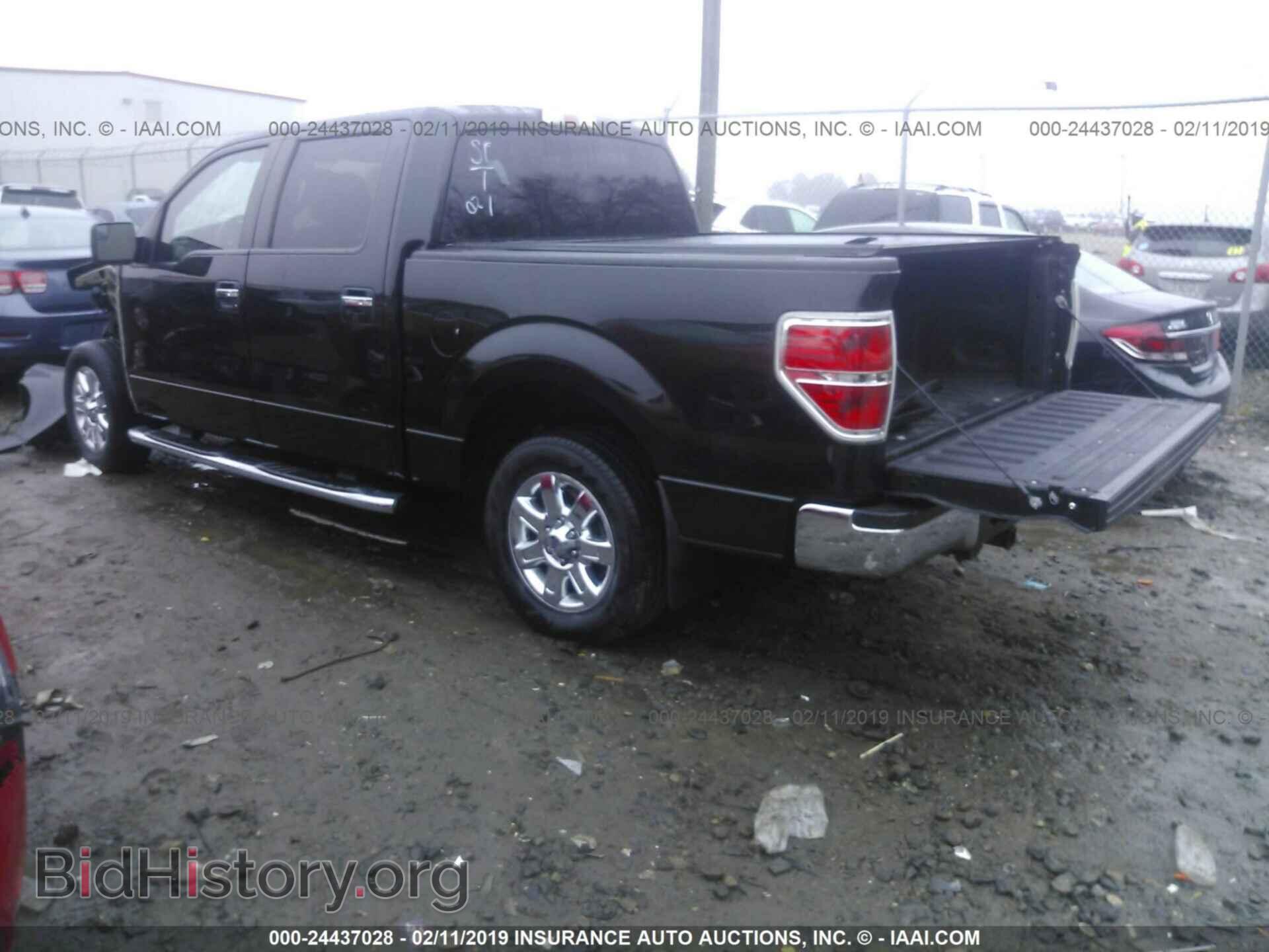 2013 FORD F150 - VIN: 1FTEW1CM7DFD62421 - Фото 3