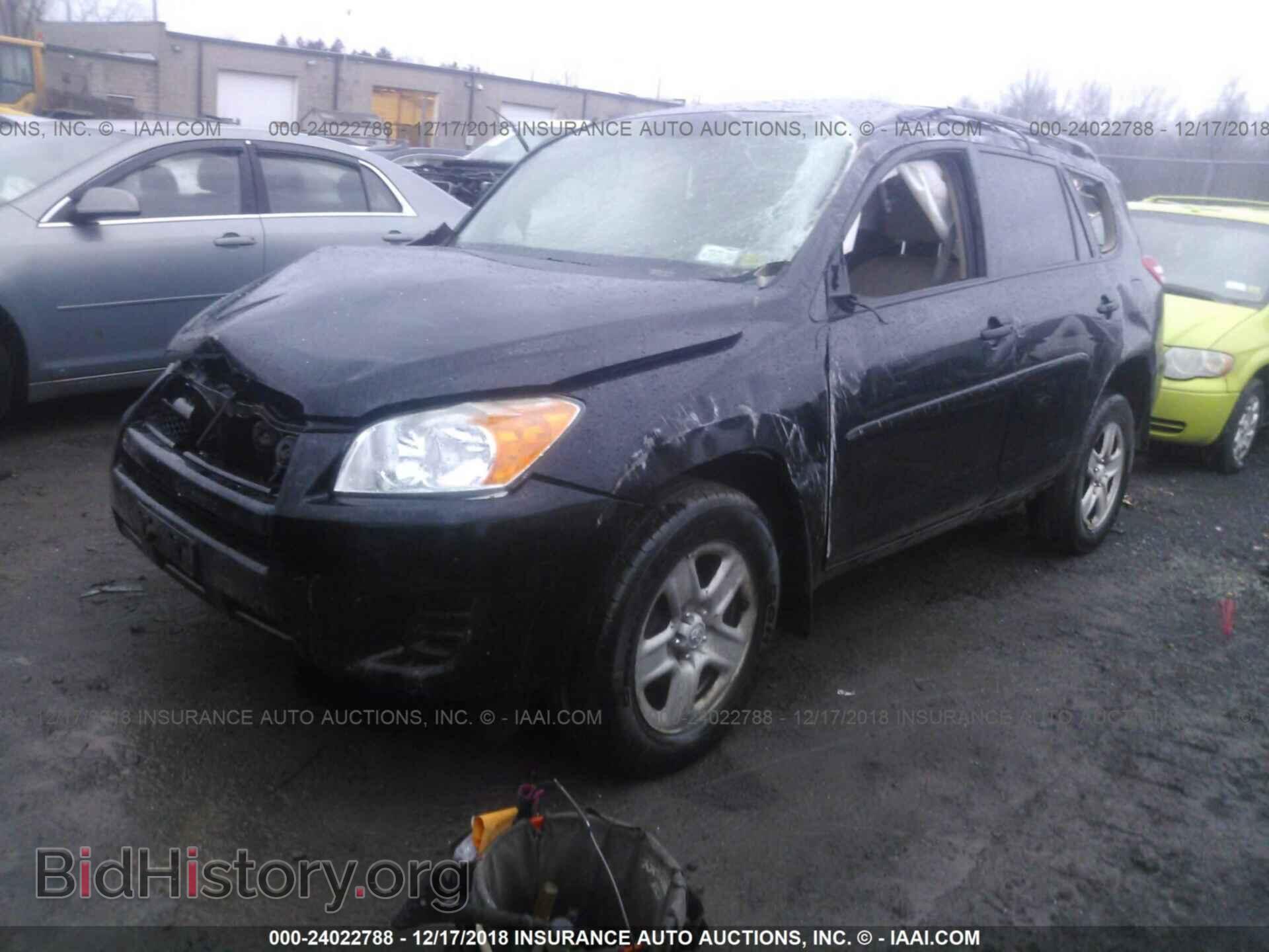 2011 TOYOTA RAV4 - VIN: 2T3BF4DV7BW116041 - Фото 2