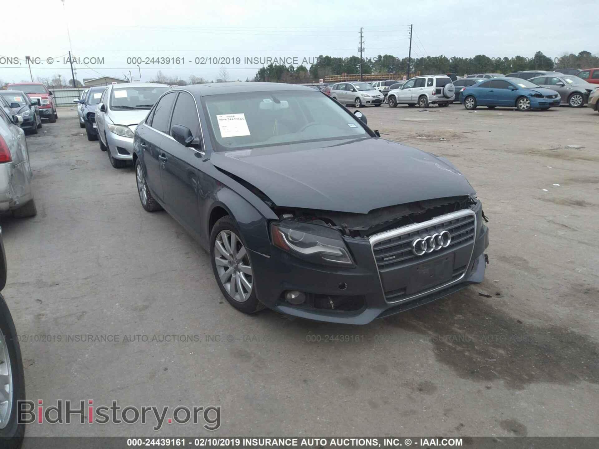 Фотография WAUFFAFL0BN025208 - AUDI A4 2011