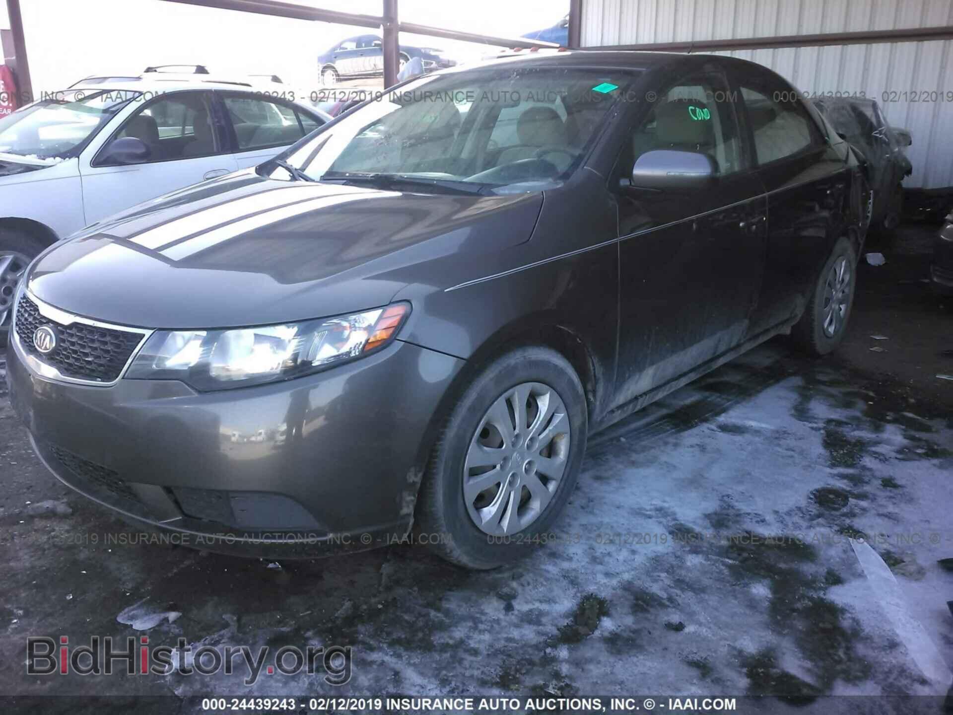 2012 KIA FORTE - VIN: KNAFU4A29C5550078 - Фото 2