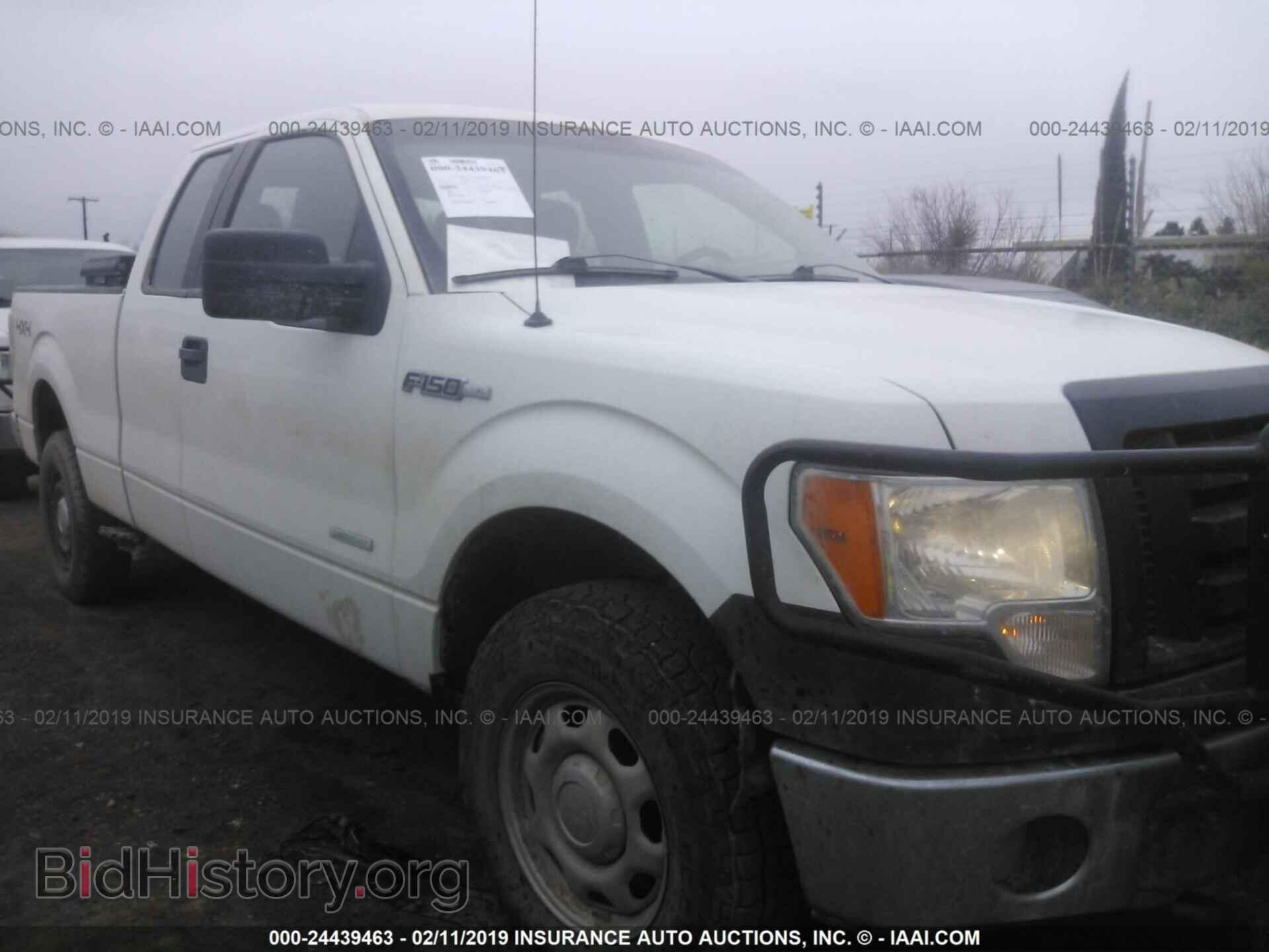 Photo 1FTFX1ET2CKD69305 - FORD F150 2012