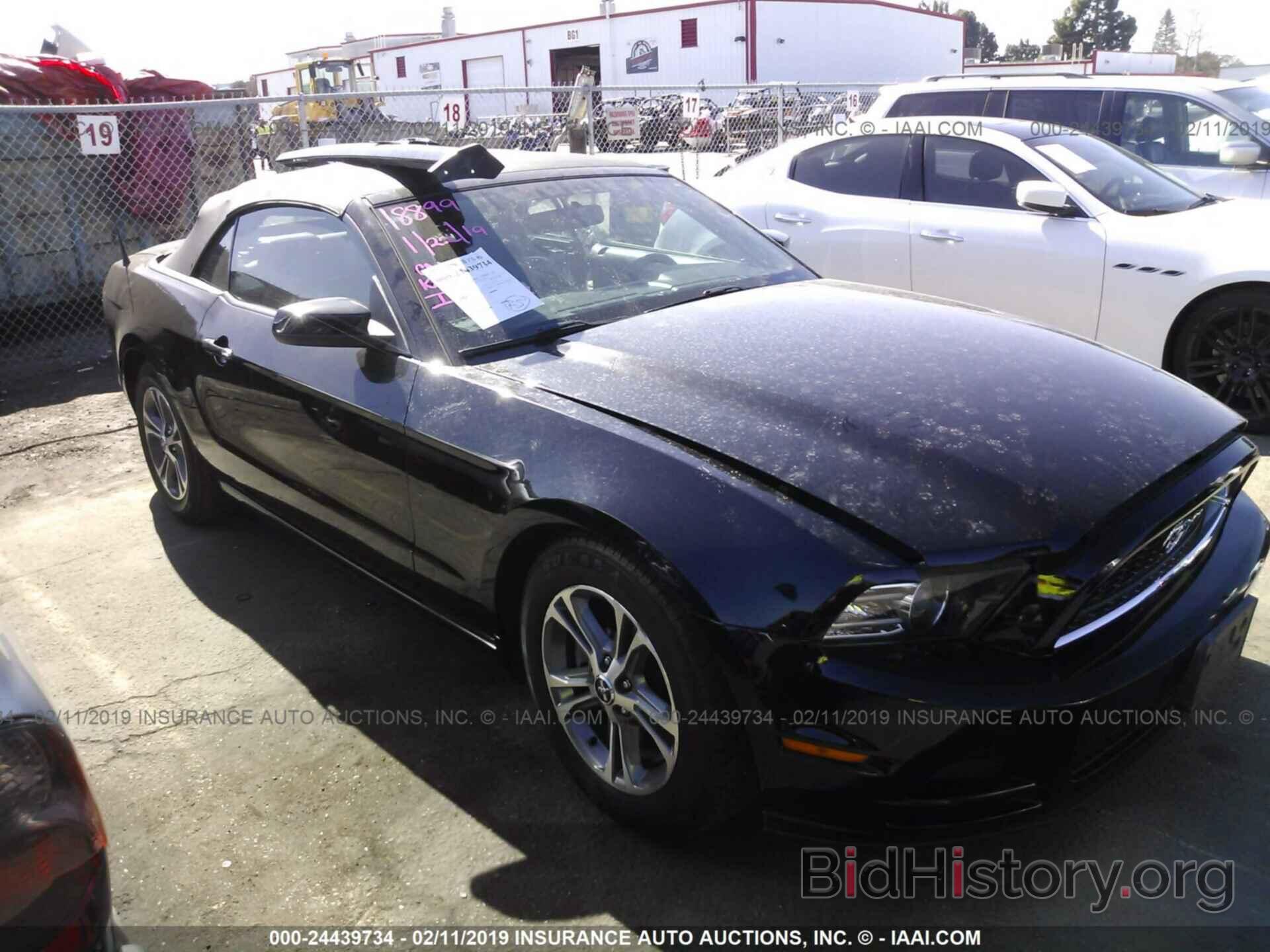 Photo 1ZVBP8EMXE5297168 - FORD MUSTANG 2014
