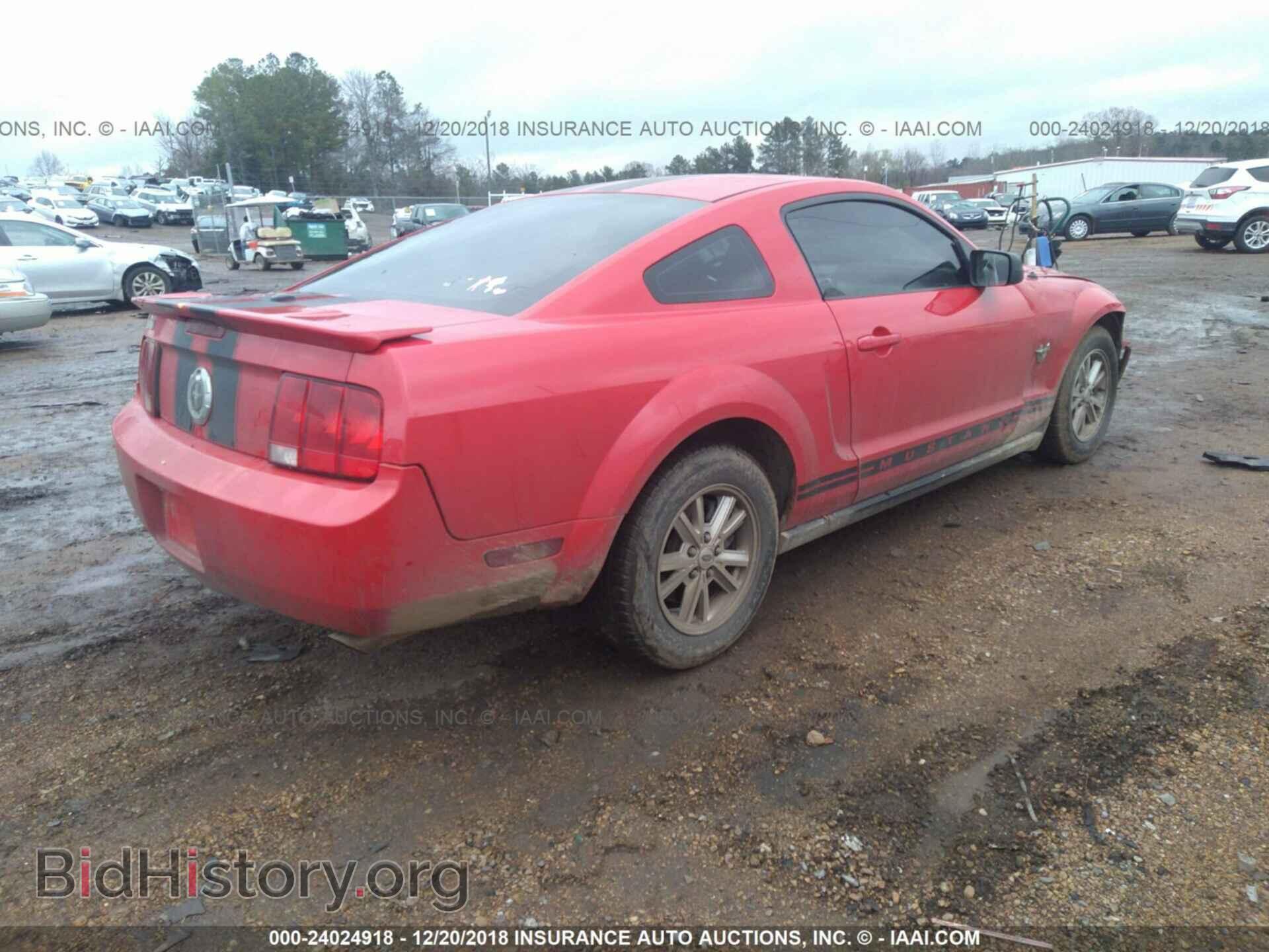 2009 FORD MUSTANG - VIN: 1ZVHT80N095104814 - Фото 4