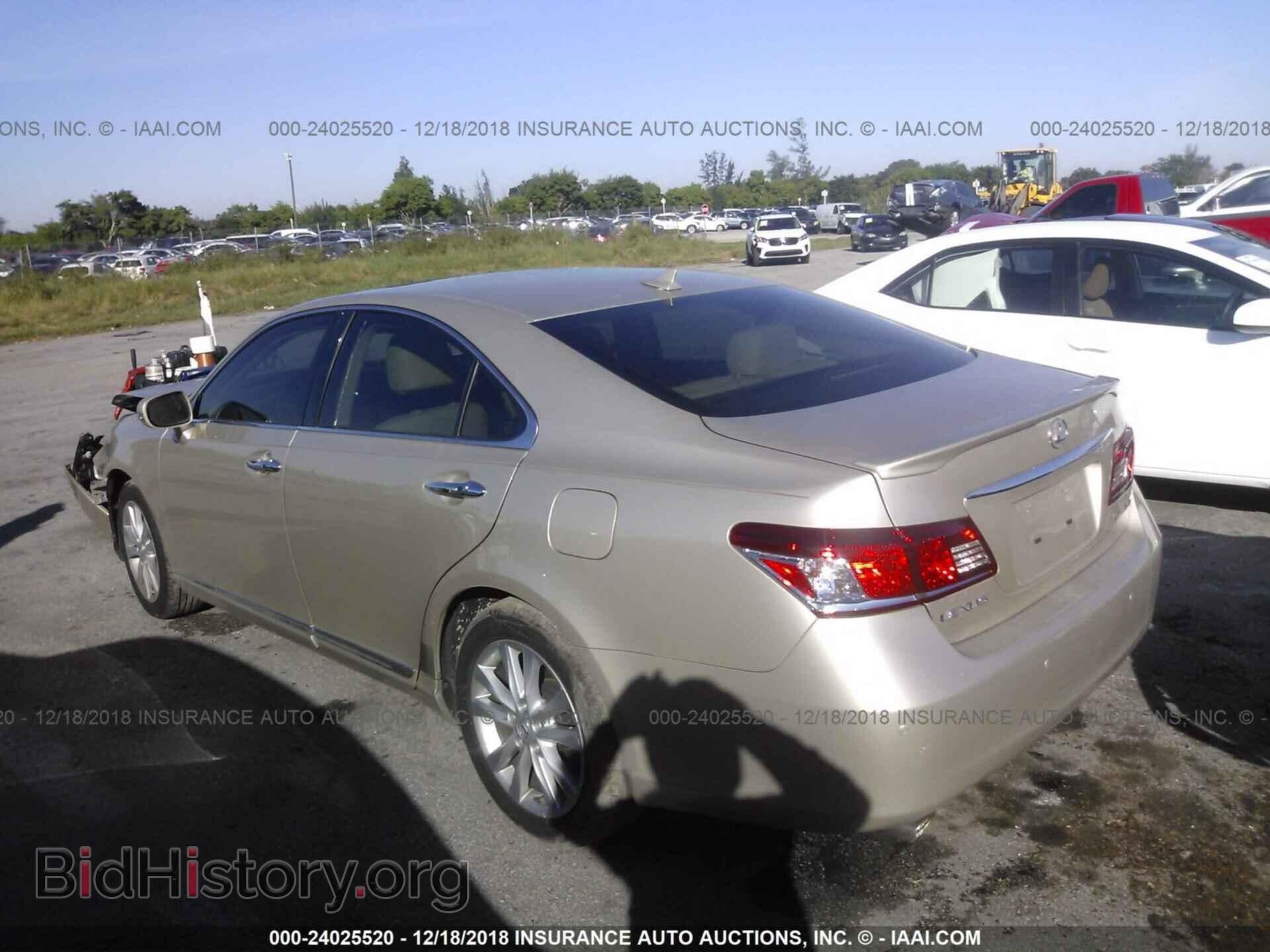 2010 LEXUS ES - VIN: JTHBK1EG8A2410208 - Фото 3