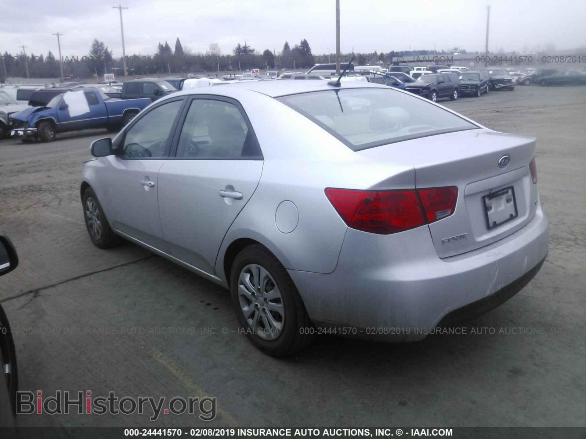 2011 KIA FORTE - VIN: KNAFU4A26B5441981 - Фото 3